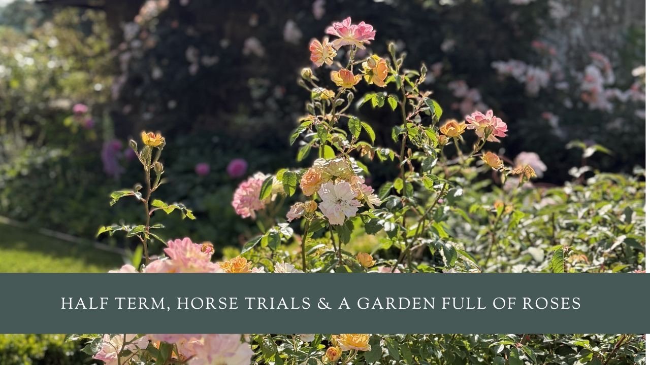 Half Term, Horse Trials &amp; A Garden Full of Roses