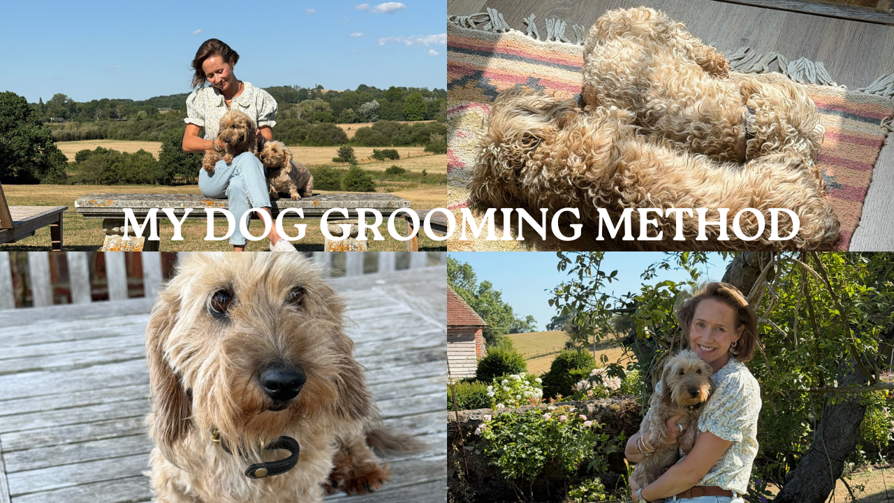 Why I Clip My Dogs at Home (Not the Groomers) &amp; How I Do It