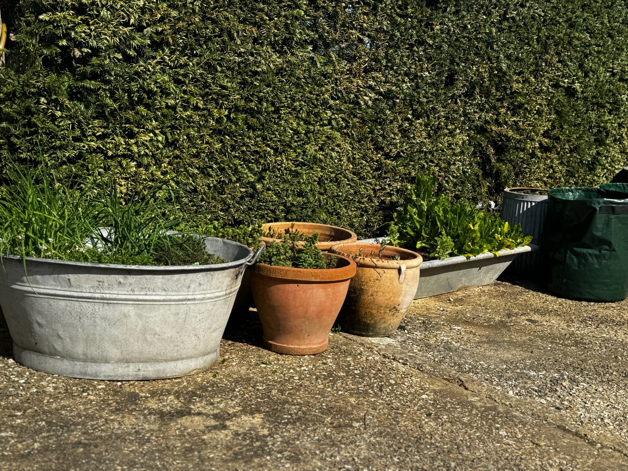 Spring Kitchen Garden Planting: Garlic, Shallots, Carrots &amp; Potatoes (Back In The Garden!)