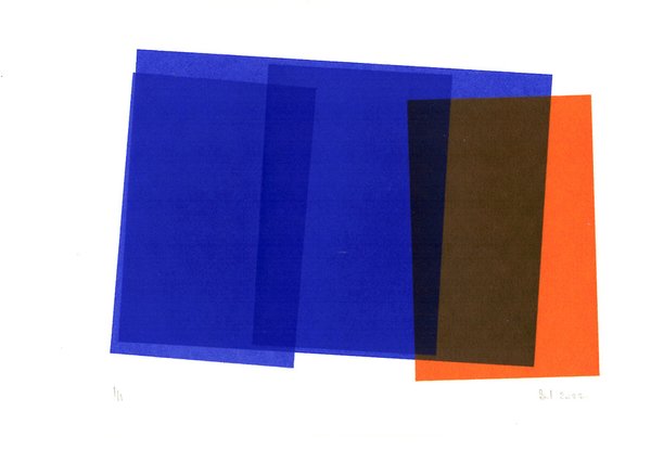 Estampes rectangles Orange-Bleu -36 - Carnet Chouette - Blandine Imberty Serigraphie.jpg