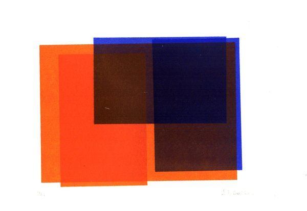 Estampes rectangles Orange-Bleu -38 - Carnet Chouette - Blandine Imberty Serigraphie.jpg