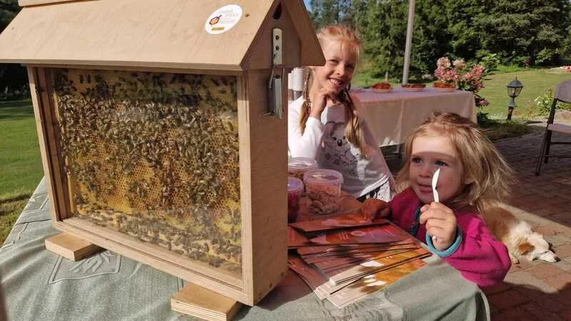 WhatsApp Image 2025-09-17 at 14.07.46.jpeg