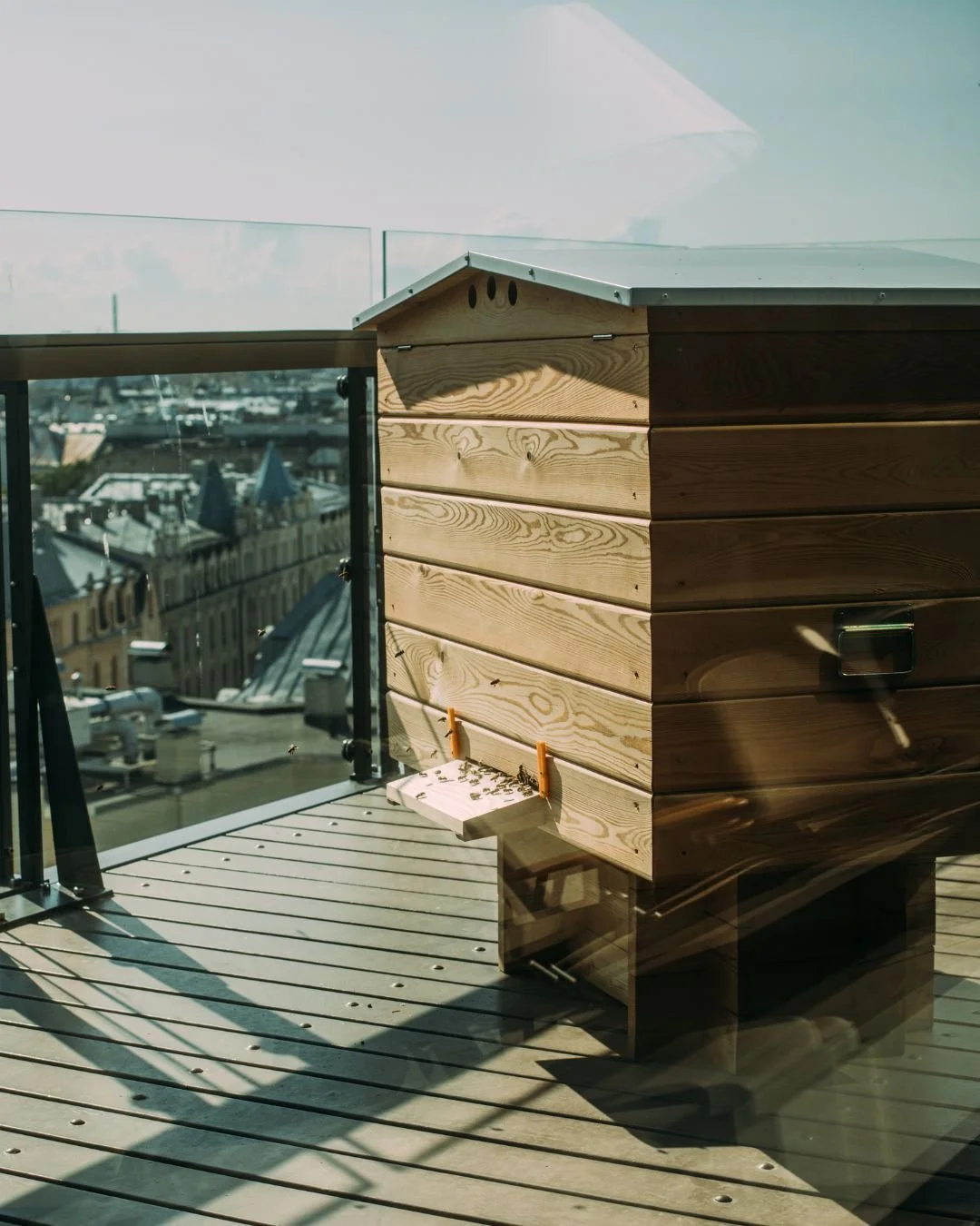 urban beekeeping, beehive in the city