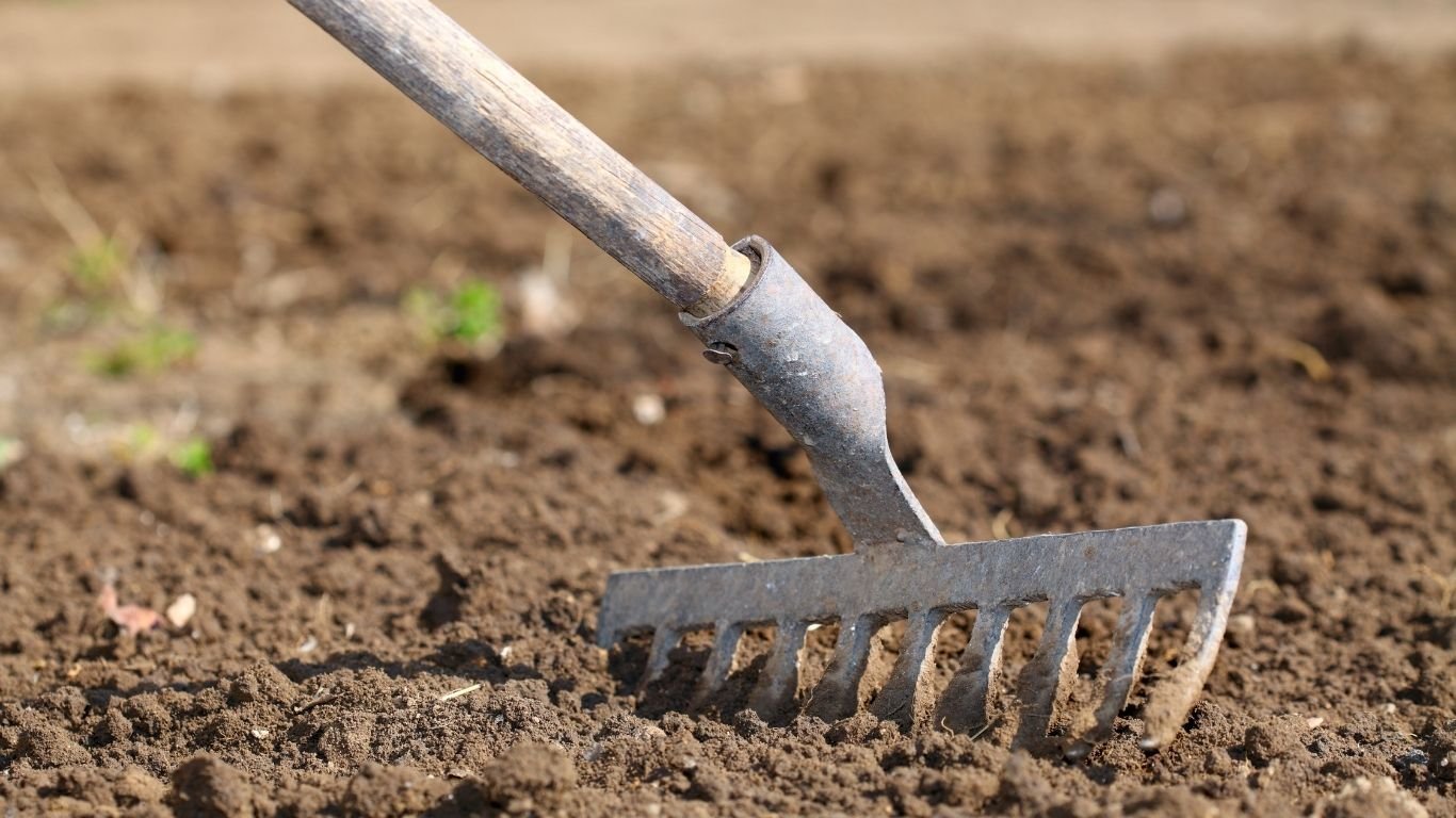 rake on land