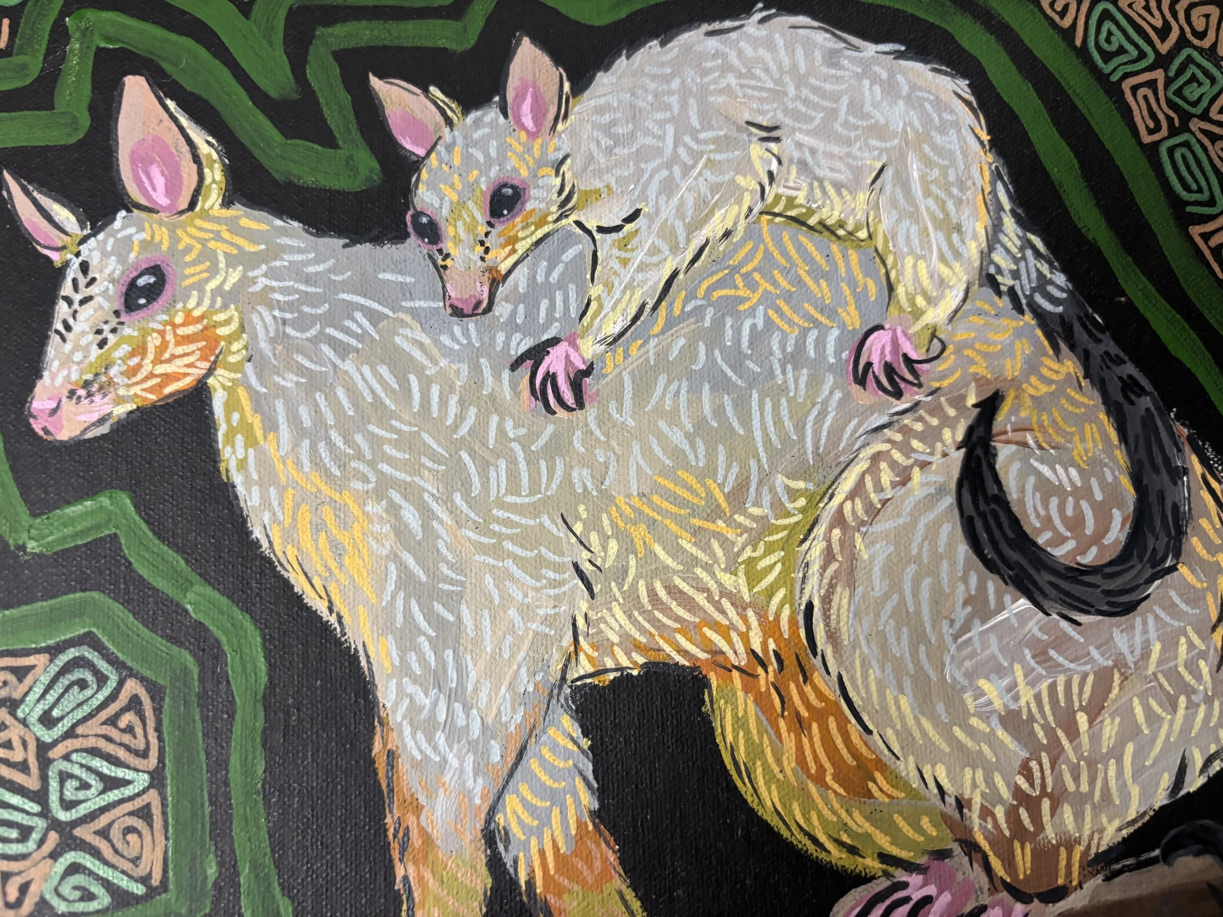 Possums at Broome Courthouse Markets