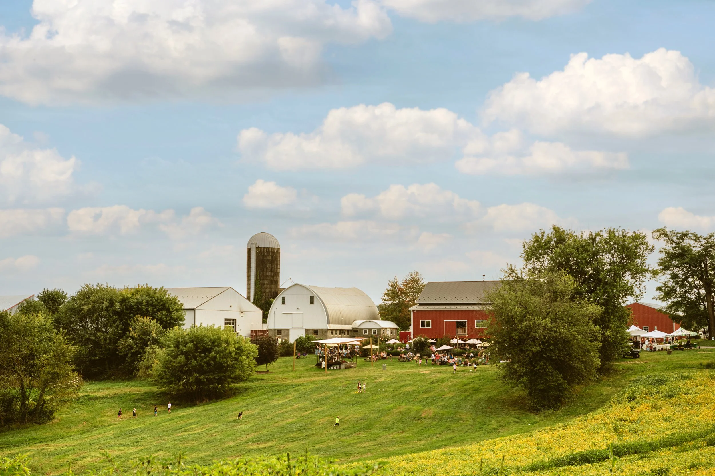 The farm's barns, silo and beer garden on a summer afternoon