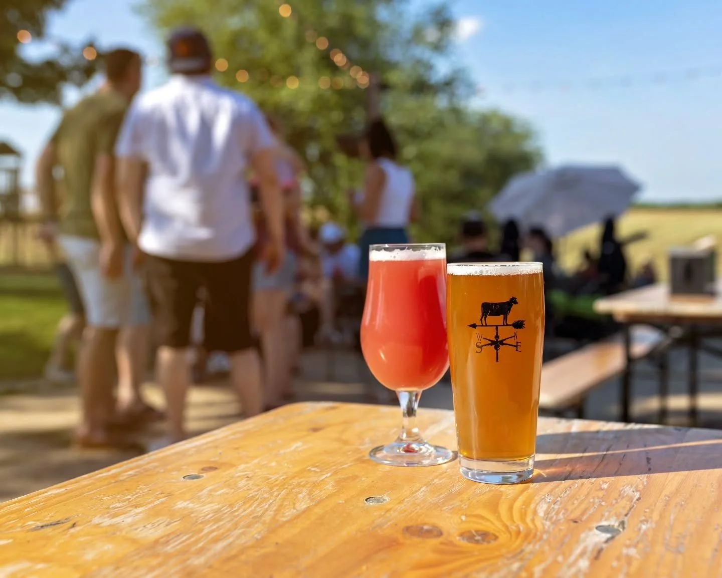 Weekly Lineup 3/26&ndash;3/29

Finally starting to feel like spring! Busy week with the monthly Songwriter Showcase tonight, an Egg Hunt for the pups on Sunday, and more!

THURSDAY 3/26
&bull; Original Songwriter Showcase 🎤 7&ndash;9 pm | Featuring 