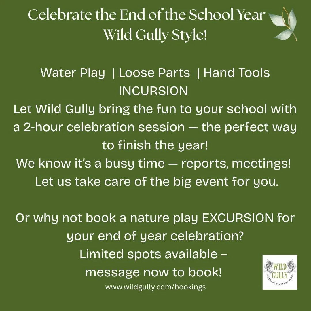 End of year celebrations just got a whole lot wilder!
Wild Gully is now offering a brand-new service — End-of-Year Celebration Play Sessions!
We’ll bring water play, loose parts play, and hand tools straight to your school for two hours