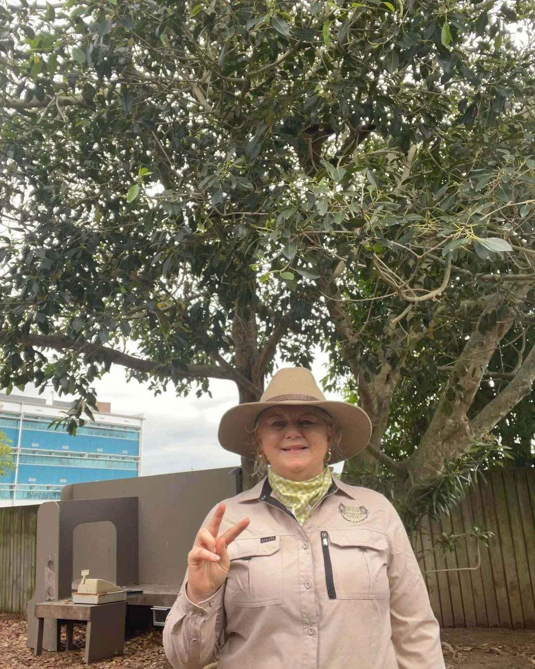 Today at our Kindy Incursion we are back with our hand tools — building, creating, and learning through real, hands-on experiences. These moments aren’t just play; they’re opportunities for children to grow confidence, strength, and