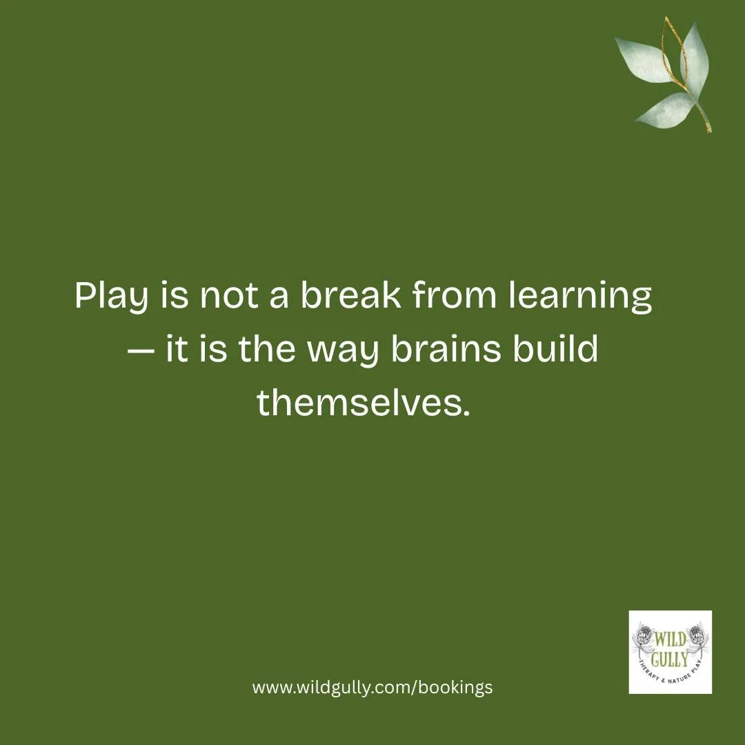 We&rsquo;ve been told for years that play is the &ldquo;fun part&rdquo; and learning is the &ldquo;serious part.&rdquo;
But neuroscience tells a very different story.

When children climb, balance, run, build, dig, wander, test, imagine, and take sma