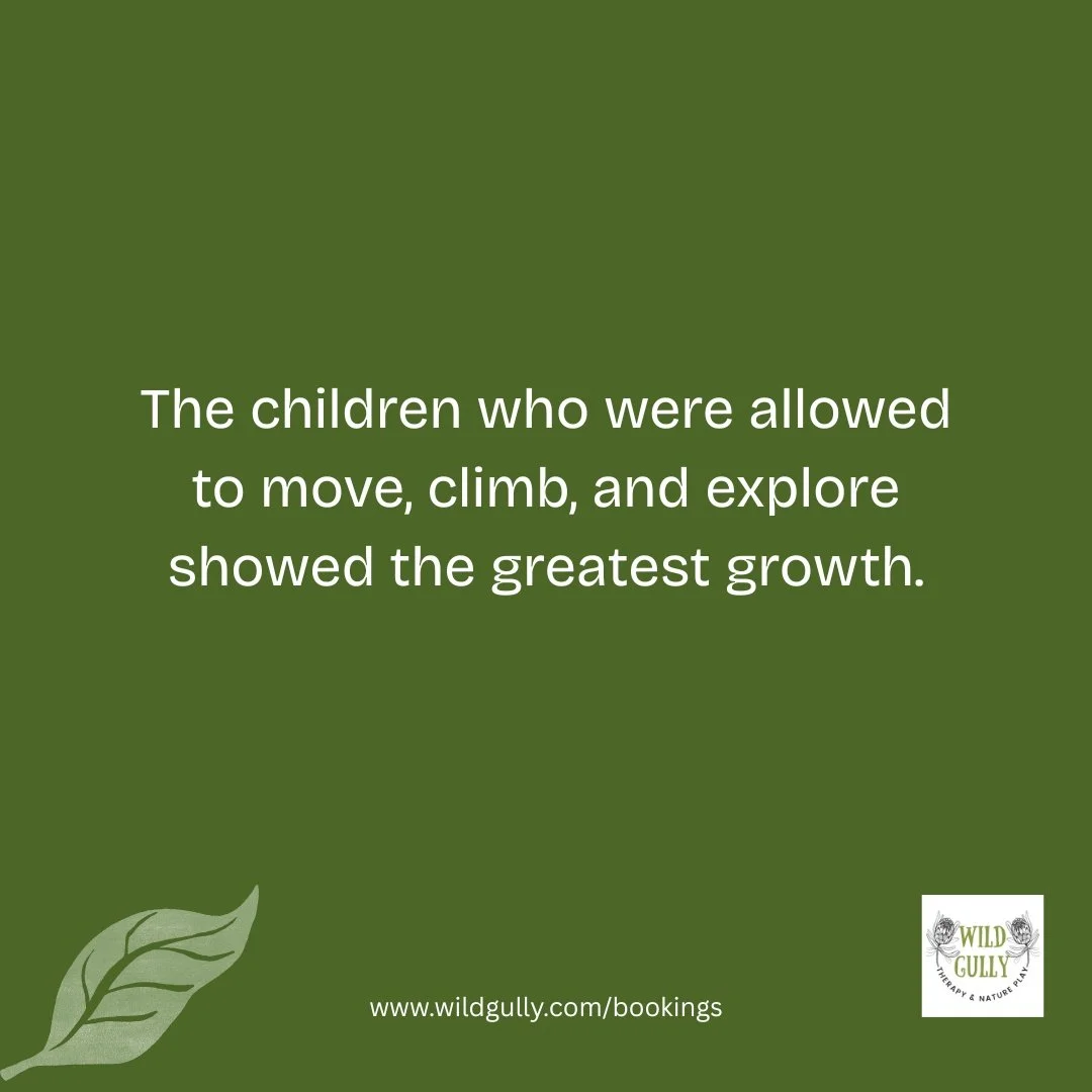 The children who were allowed to move, climb, and explore showed the greatest growth.

Not because they were pushed harder.
But because their bodies led the learning.

When children climb, balance, test limits, and solve problems through play, their 