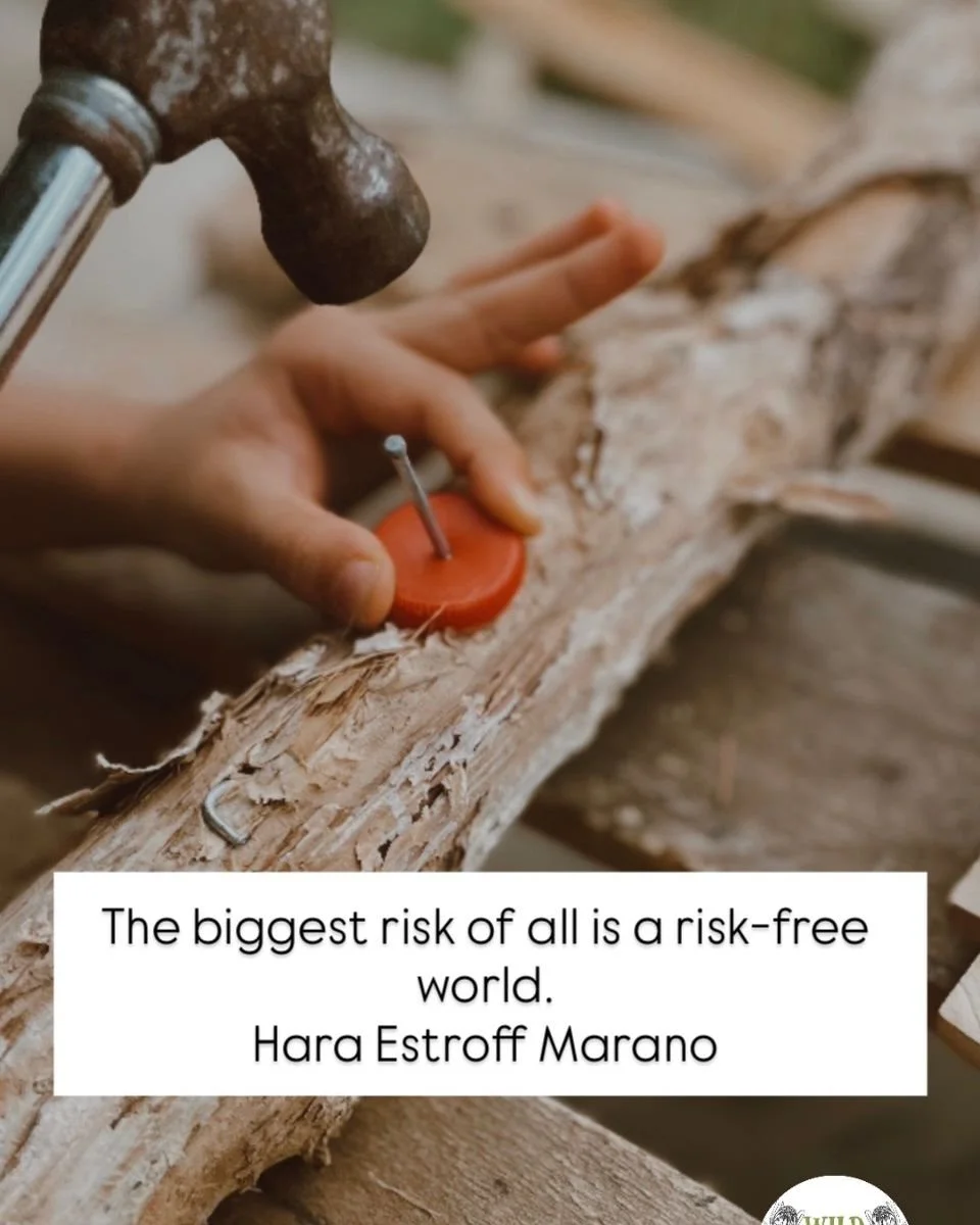 &ldquo;The biggest risk of all is a risk-free world.&rdquo;
&mdash; Hara Estroff Marano

We say we want resilient children.

But then we remove the trees they can climb.
We ban the tools.
We hover.
We bubble wrap.

And slowly, without meaning to, we 