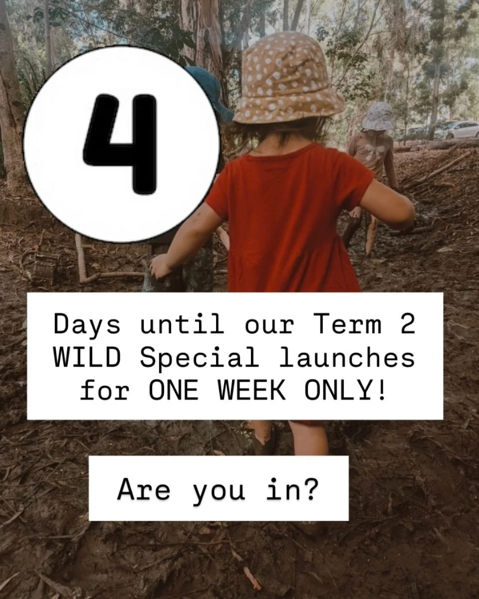 This is your 4 day reminder.

The Term 2 Wild Special launches this Saturday.

For one week only, our Term 2 Play Pass packages will be available at special pricing before returning to normal.

Friday mornings in and around Bundaberg will include:

&