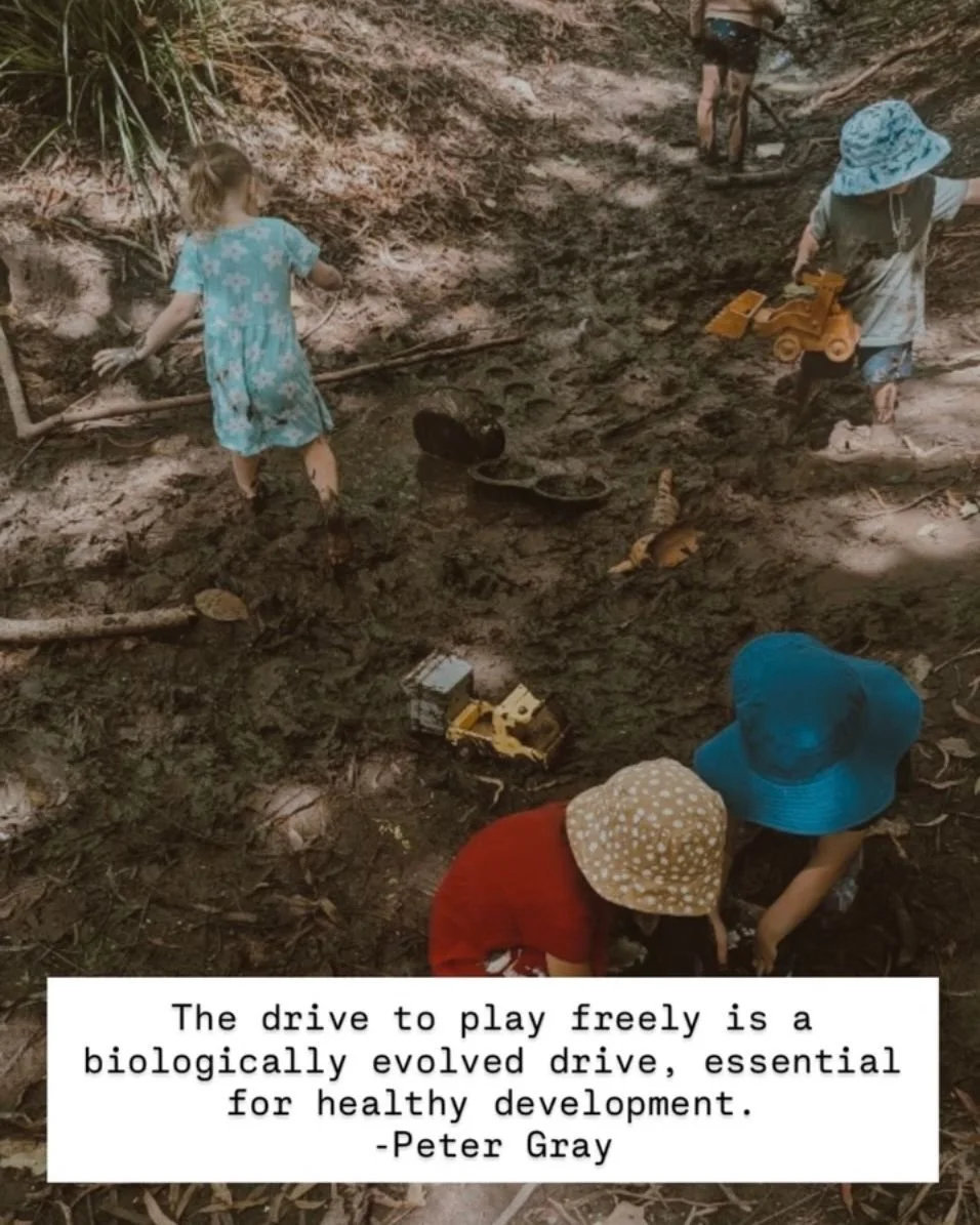 &ldquo;The drive to play freely is a biologically evolved drive, essential for healthy development.&rdquo;
&mdash; Dr Peter Gray

This isn&rsquo;t just a beautiful quote. It&rsquo;s science.

Children don&rsquo;t need more pressure.
They don&rsquo;t 