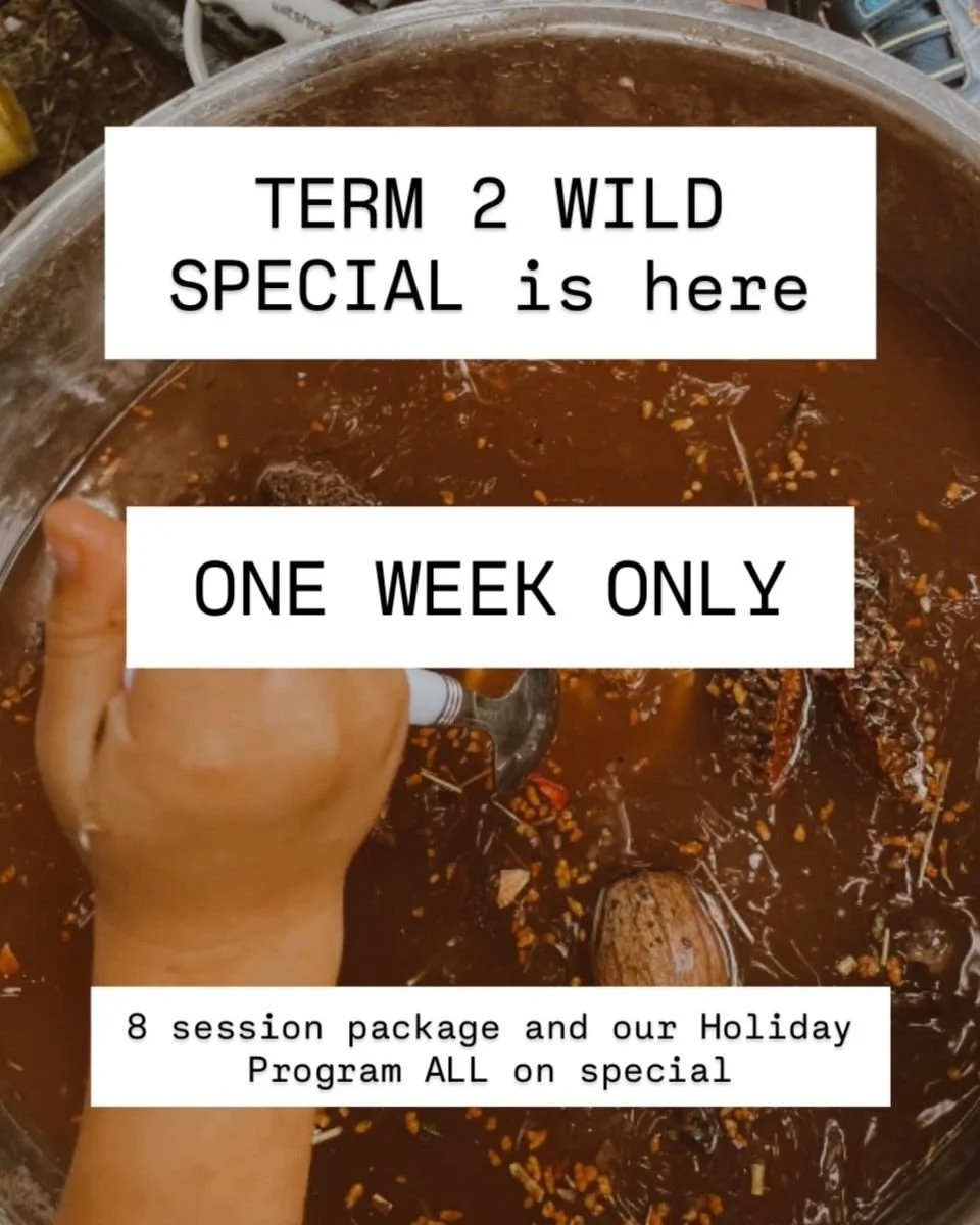 You can wait.
You can overthink it.
You can tell yourself &ldquo;maybe next term.&rdquo;

Or you can give your child what they actually need.

Our Wild Special is here. One week only. Seven days. That&rsquo;s it.

In the beautiful Bundaberg region we