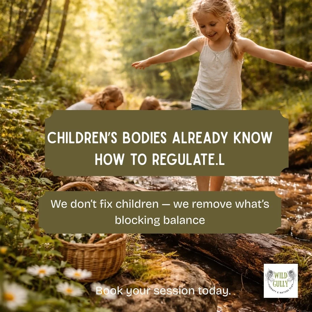What if children already know how to regulate?

Spoiler: They do.
Their bodies are designed to seek balance, movement and connection &mdash; when we stop getting in the way.

At Wild Gully, we don&rsquo;t try to fix children.
We remove what blocks re