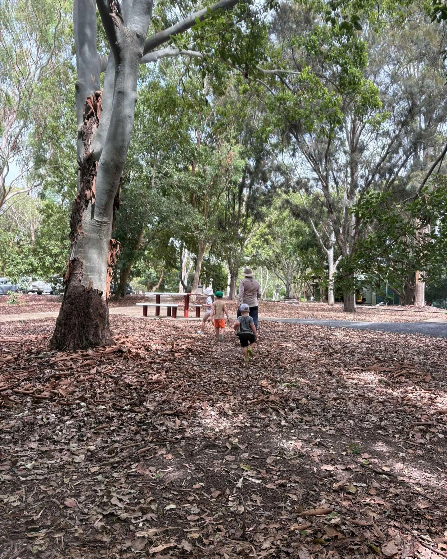 This week at Wild Gully, a beautiful autumn morning in nature.

Children were free to explore, dig, run, mix, splash and create. Curiosity led the way as little hands investigated mud kitchens, mixed natural potions, hammered, painted, swung and disc