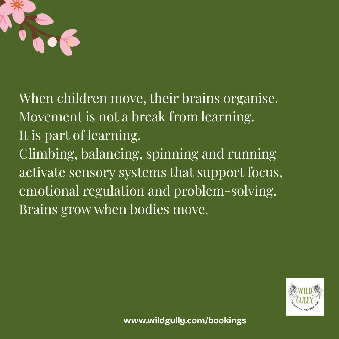 Many children today are expected to sit still for long periods while learning.

But the brain doesn&rsquo;t work best that way.

Movement is not a distraction from learning &mdash; it&rsquo;s part of how the brain organises itself.

Climbing, balanci