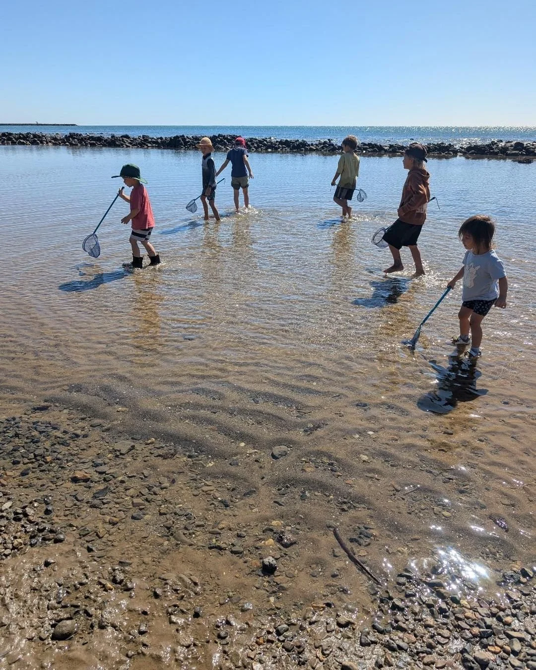 Fridays at Wild Gully are full.

Full of children being free.
Celebrating childhood.
Reclaiming childhood.

This is what it should look like.

33 wild ones braving the cool weather &mdash; climbing, in the mud, creating a worm farm, sewing, hiking, e