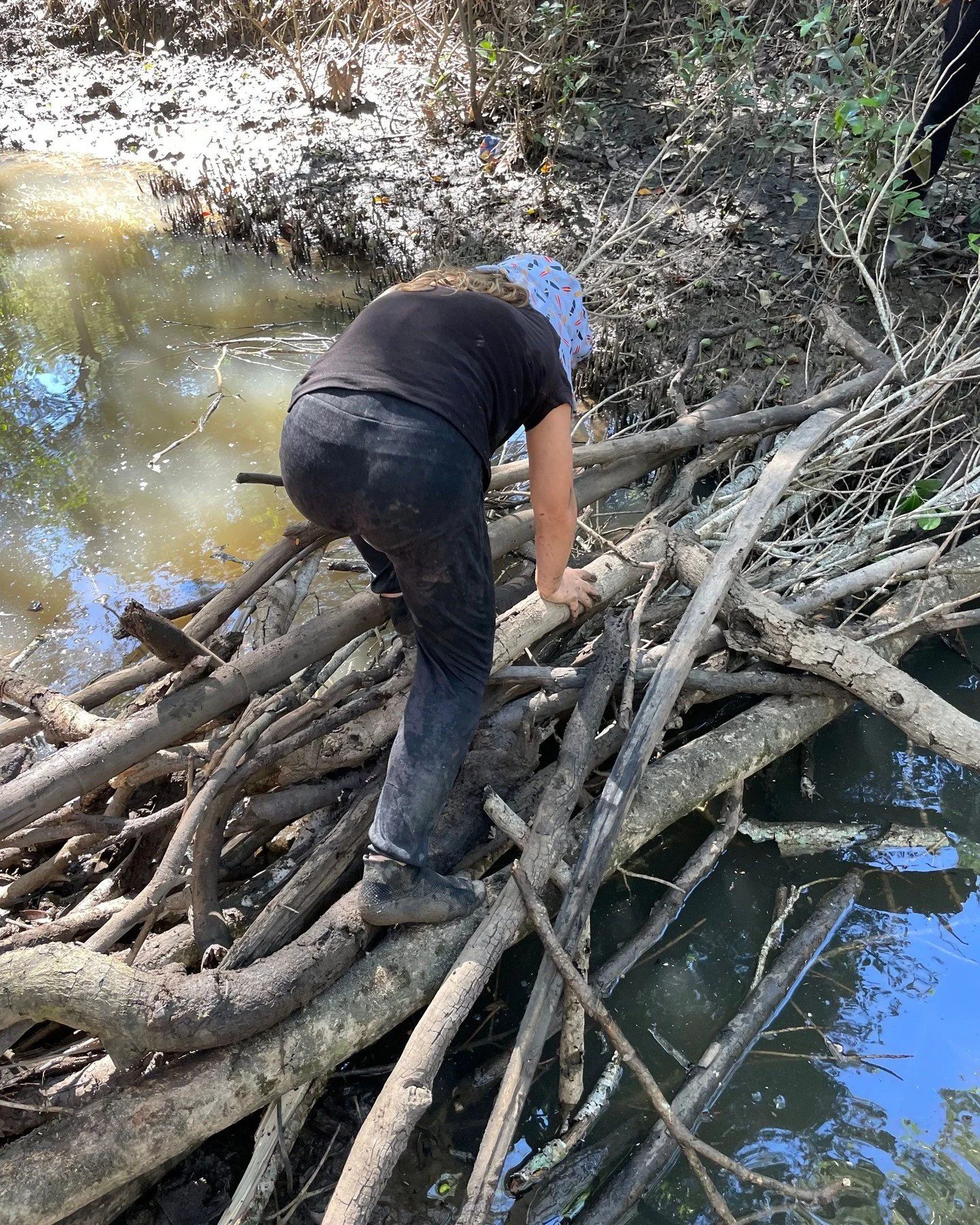 Friday at Wild Gully was one of those days you wish you could bottle and keep forever.

The adventures. The calm. The mud.
The cubbies, the building, the hiking.

Children deeply engaged.
Needs being met.
Connections forming &mdash; not just with nat