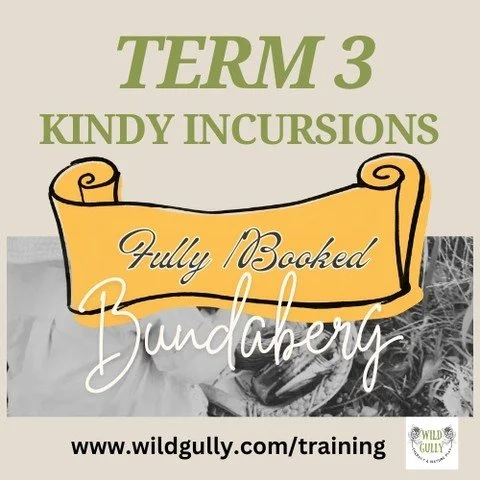 Term 3 Kindy Incursions in Bundaberg are now fully booked &mdash; with 21 local kindergarten incursions delivered through Kindy Uplift funding.

Educators doing their absolute best in busy, structured days&mdash;while feeling that pull that something