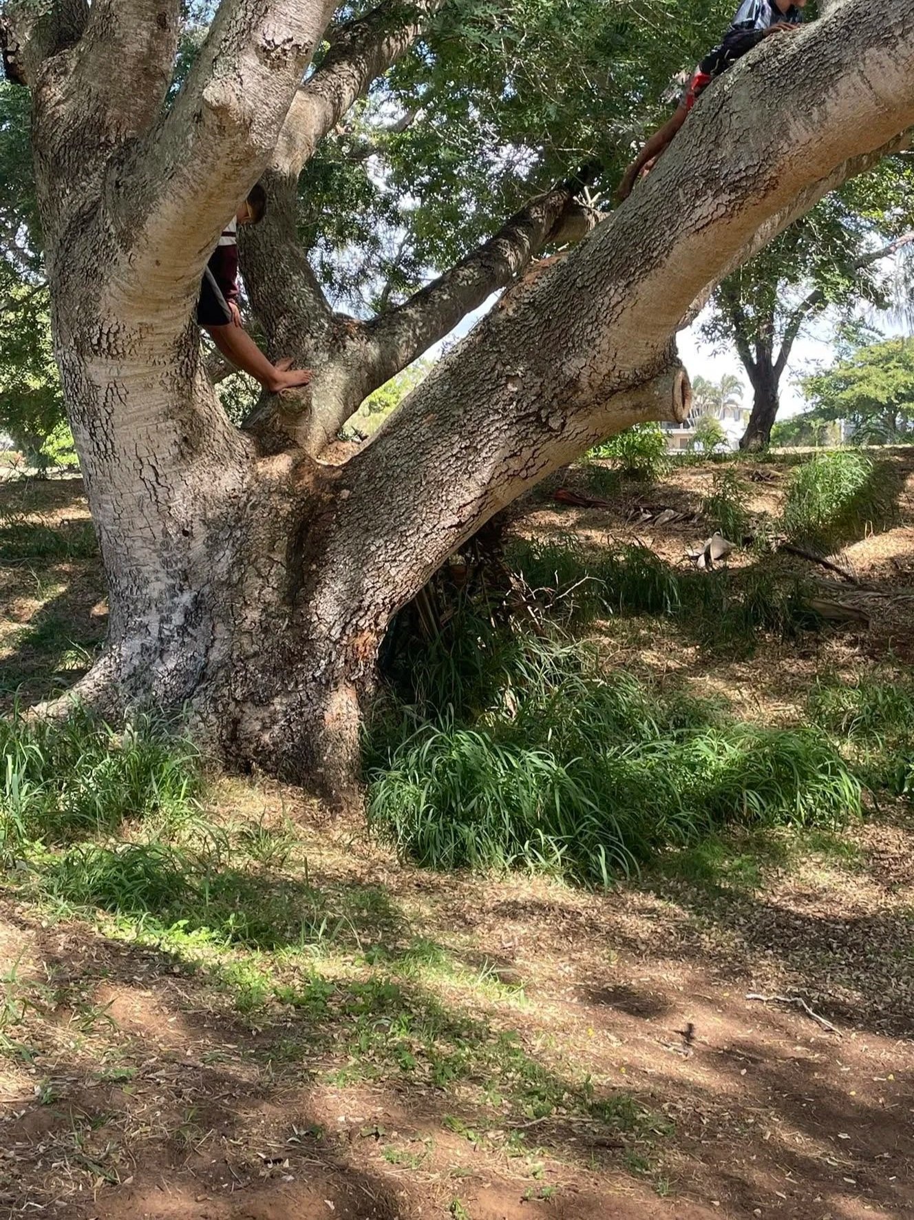 The Child Was Never “Too Much” — The Environment Was