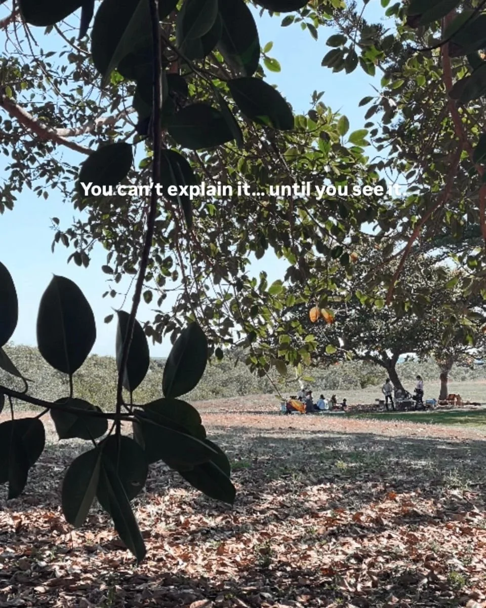 It&rsquo;s messy, calm, risky, and deeply connected&mdash;all at once&mdash;and somehow, it just works.

Fridays at Wild Gully aren&rsquo;t structured or controlled, but this is where real confidence, real play, and real self-trust start to build.

Y