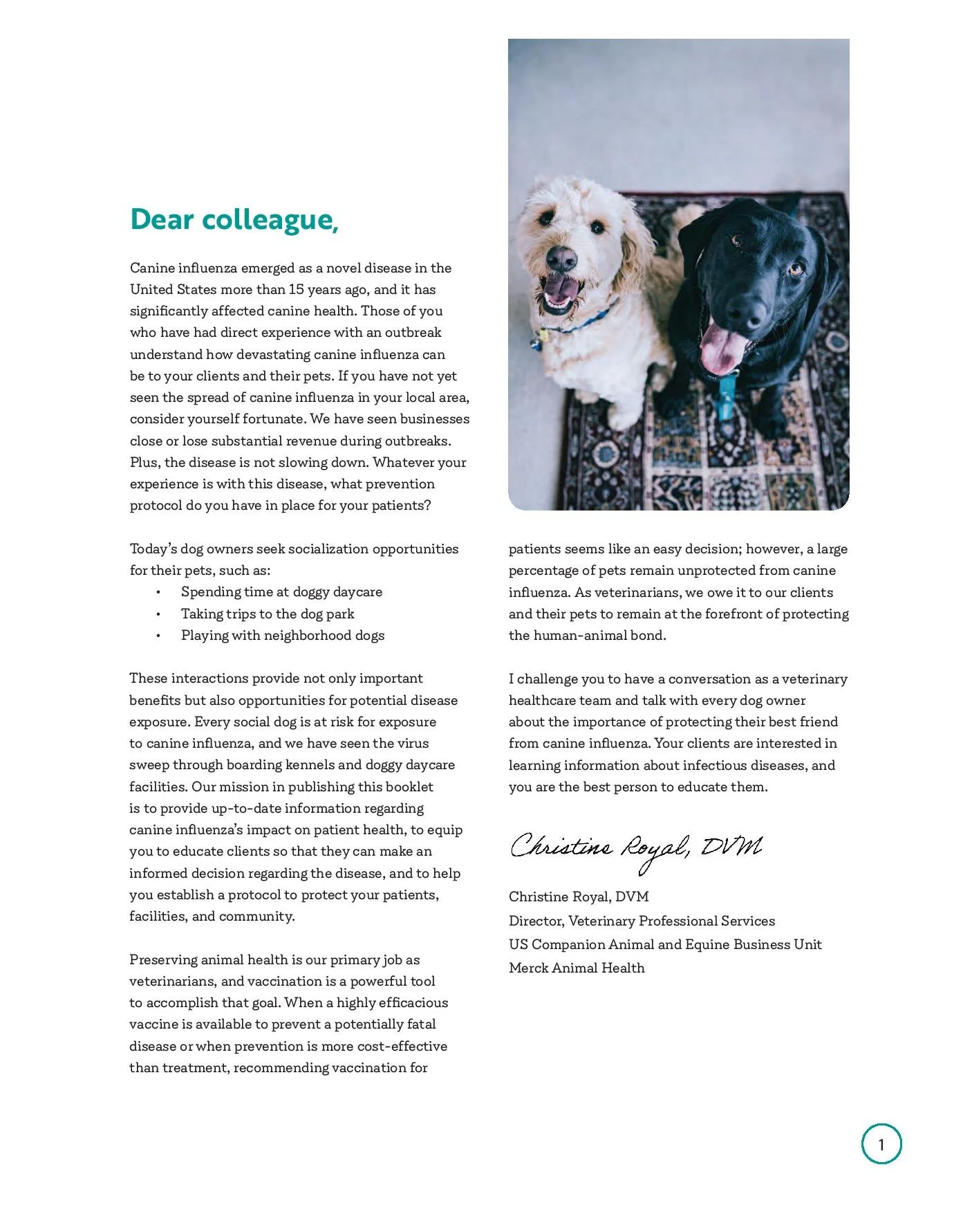 civ-booklet_web-page-003.jpg