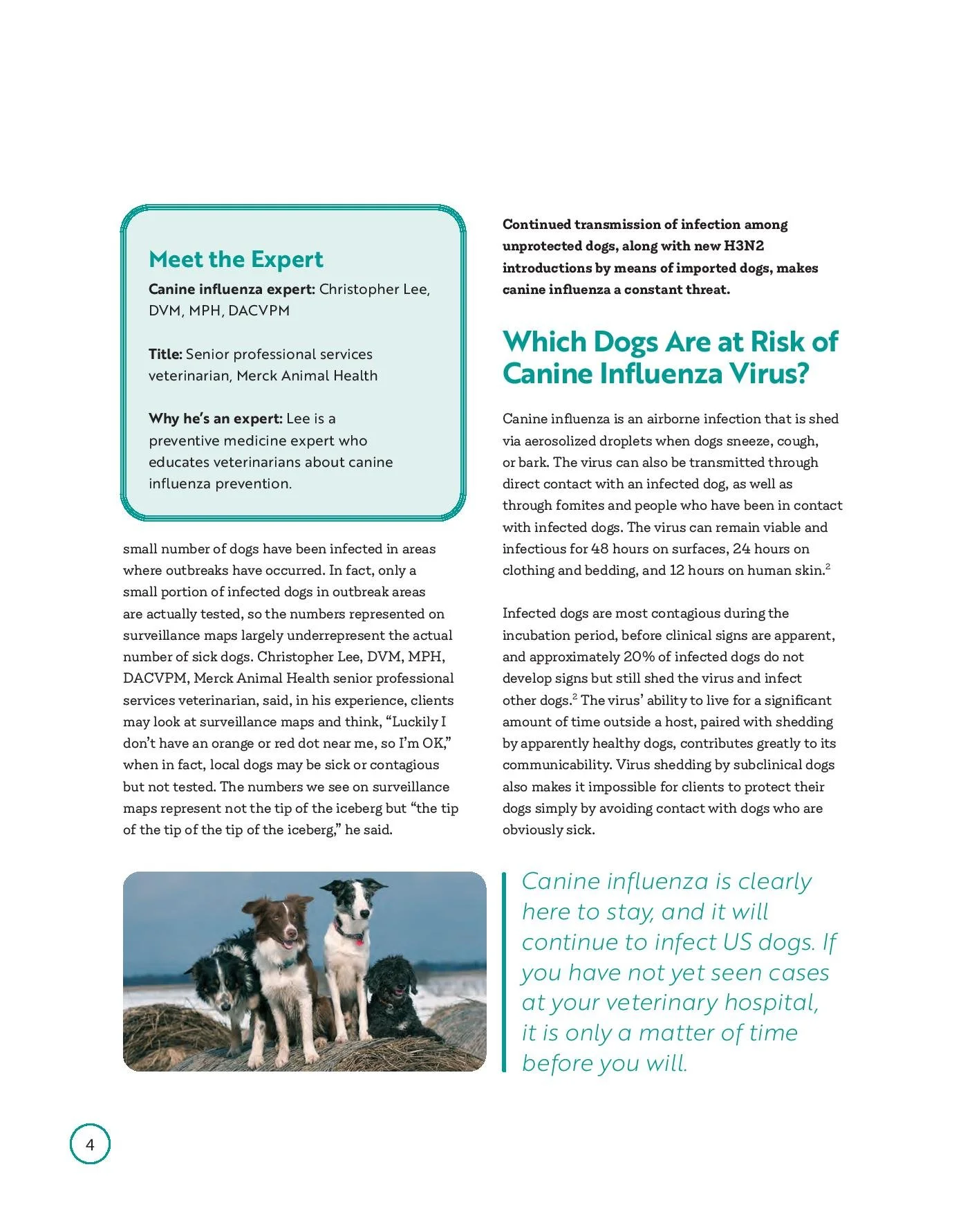 civ-booklet_web-page-006.jpg