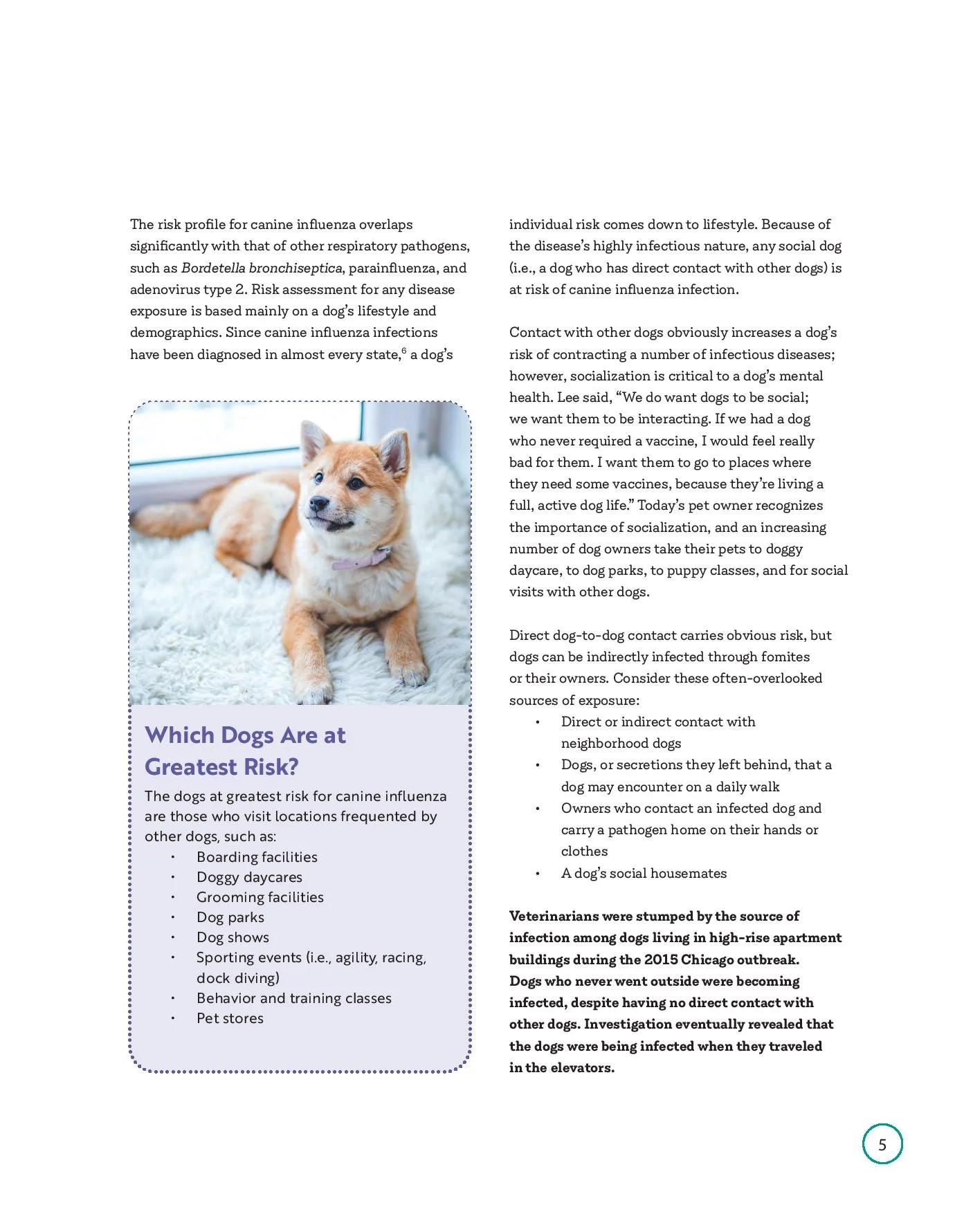 civ-booklet_web-page-007.jpg