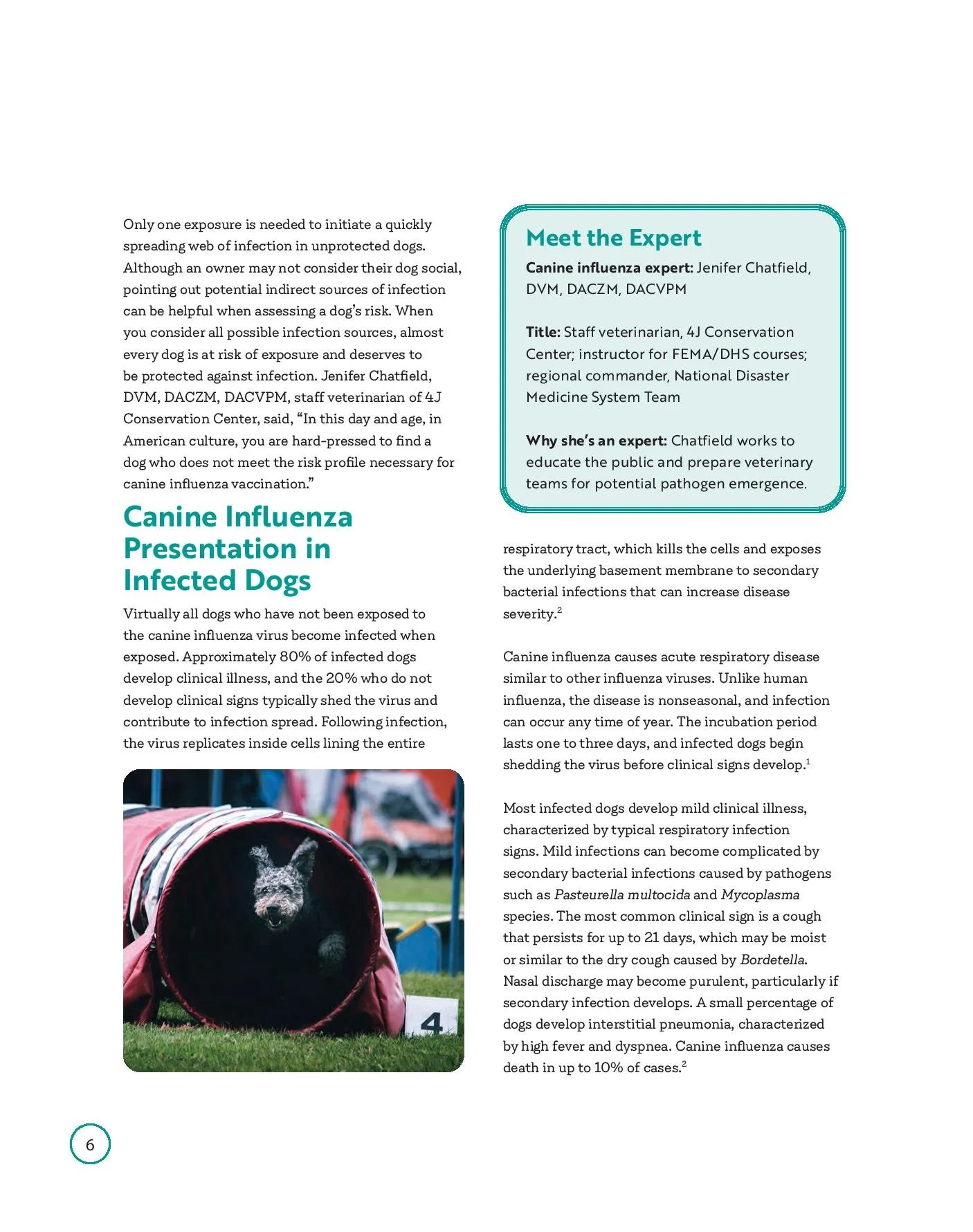 civ-booklet_web-page-008.jpg
