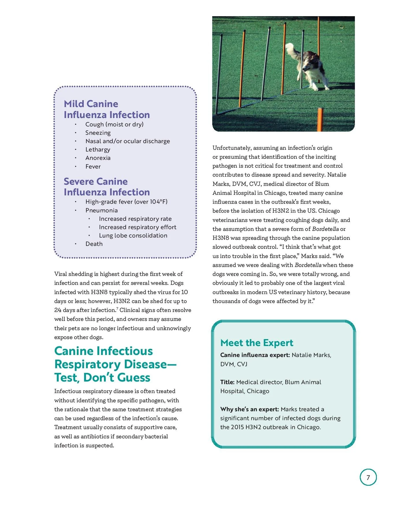 civ-booklet_web-page-009.jpg