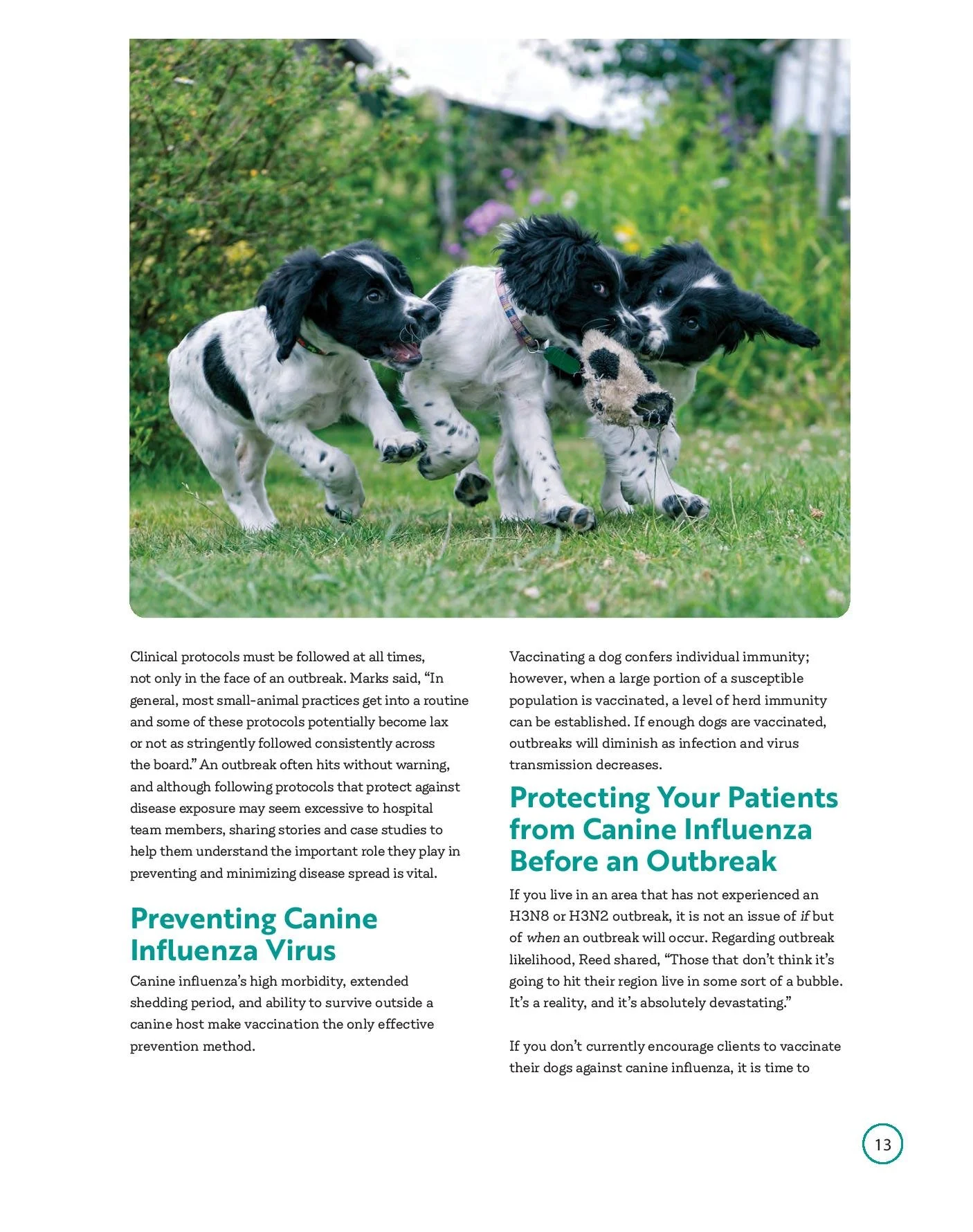 civ-booklet_web-page-015.jpg