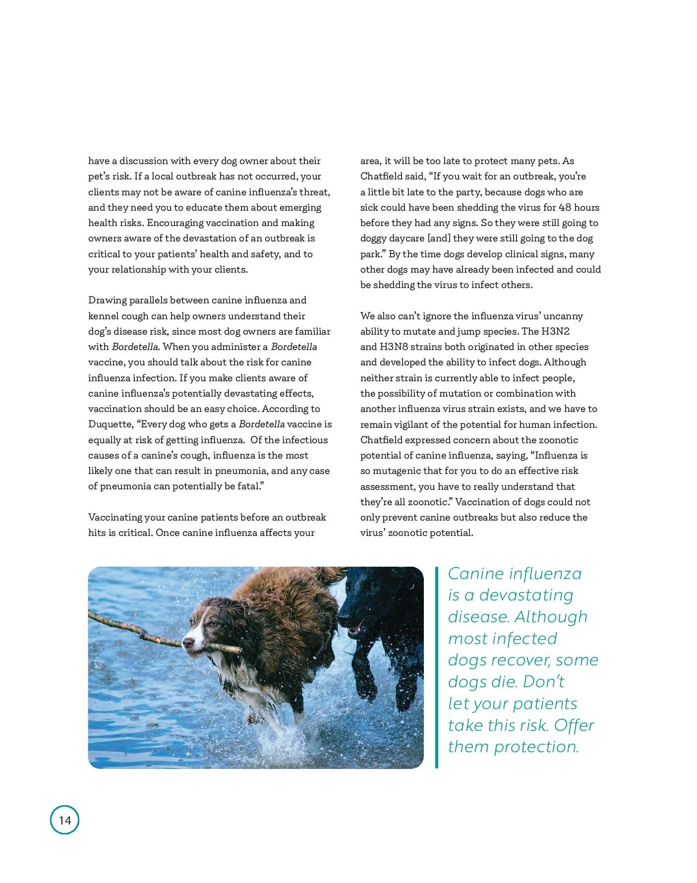 civ-booklet_web-page-016.jpg