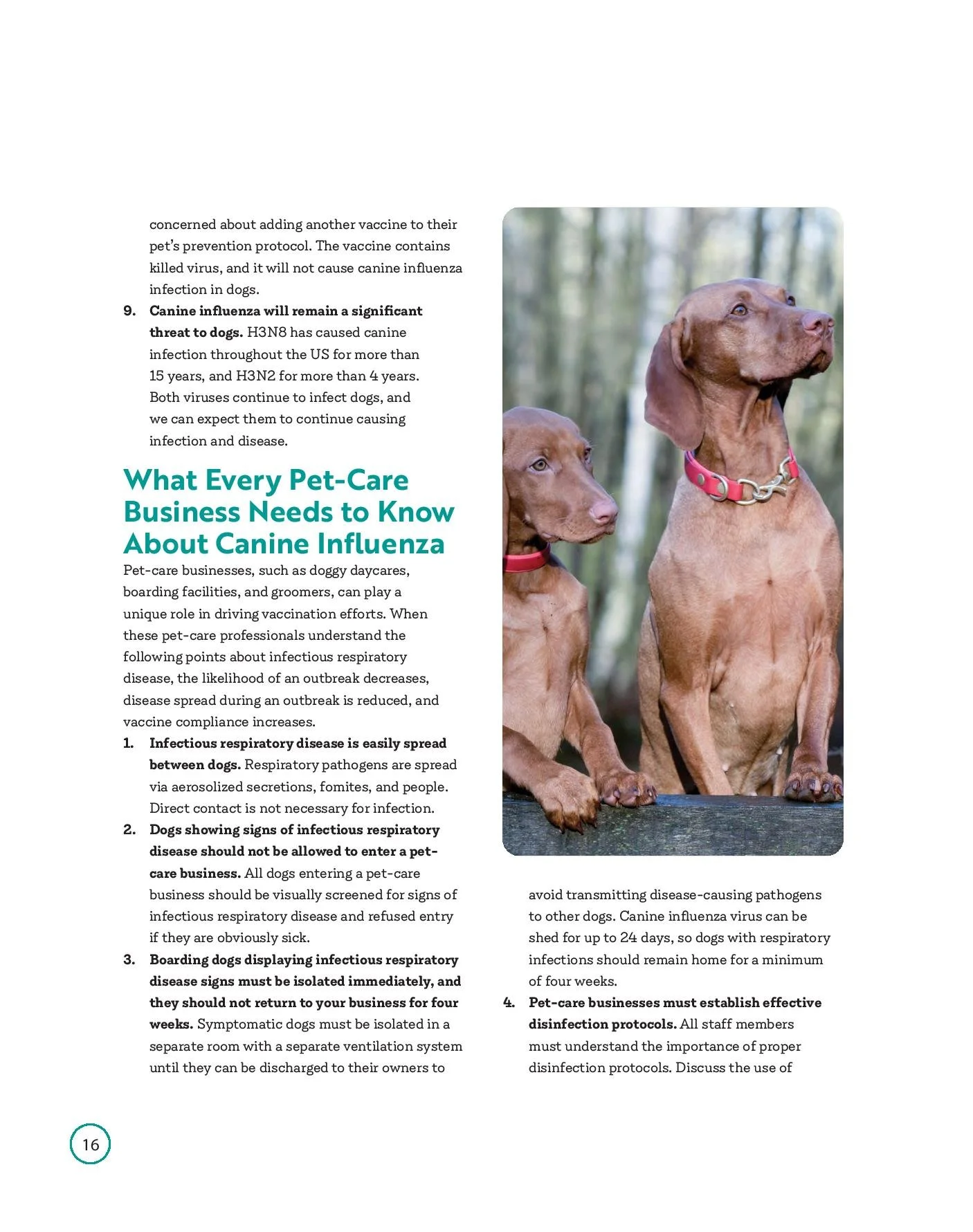 civ-booklet_web-page-018.jpg