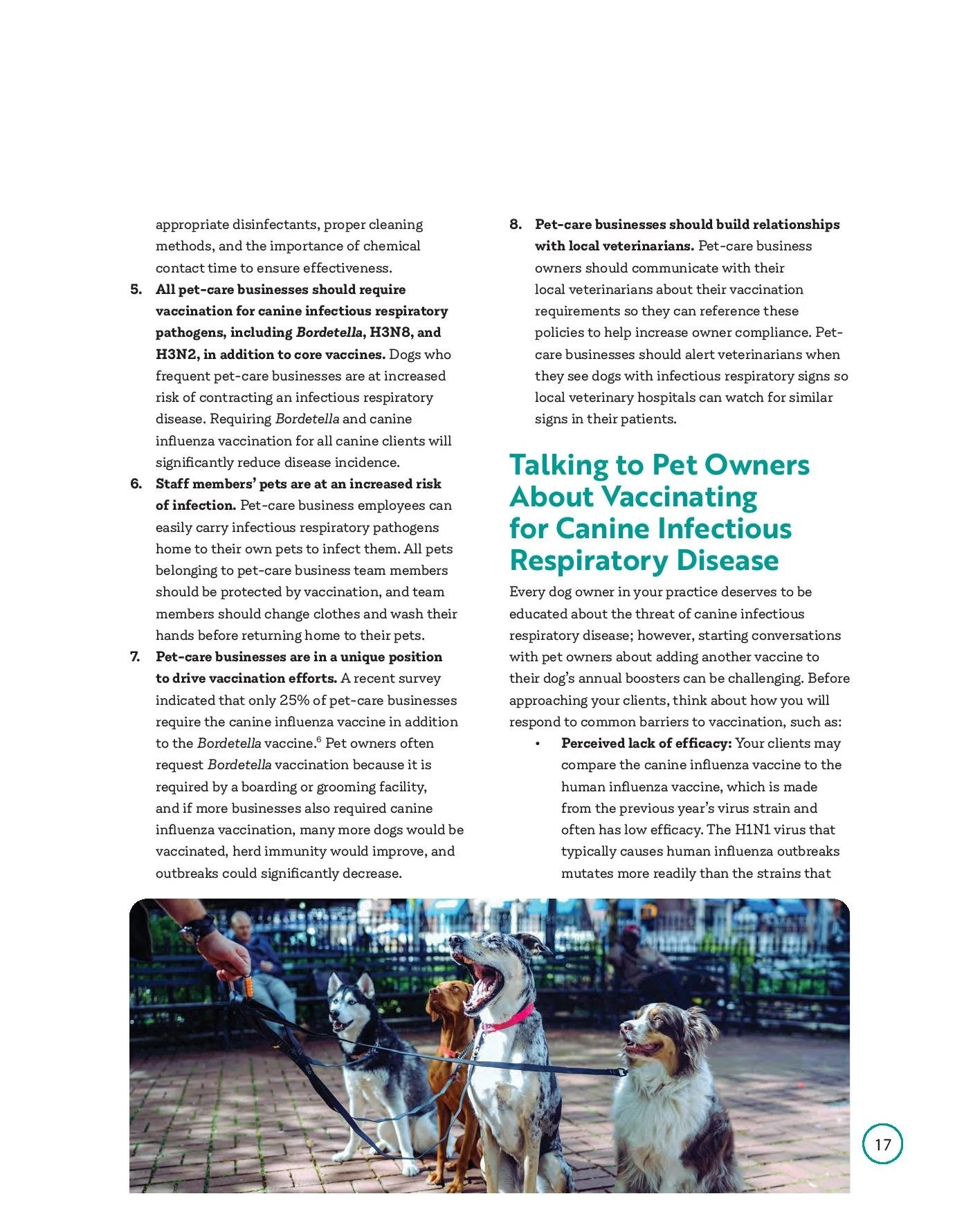 civ-booklet_web-page-019.jpg