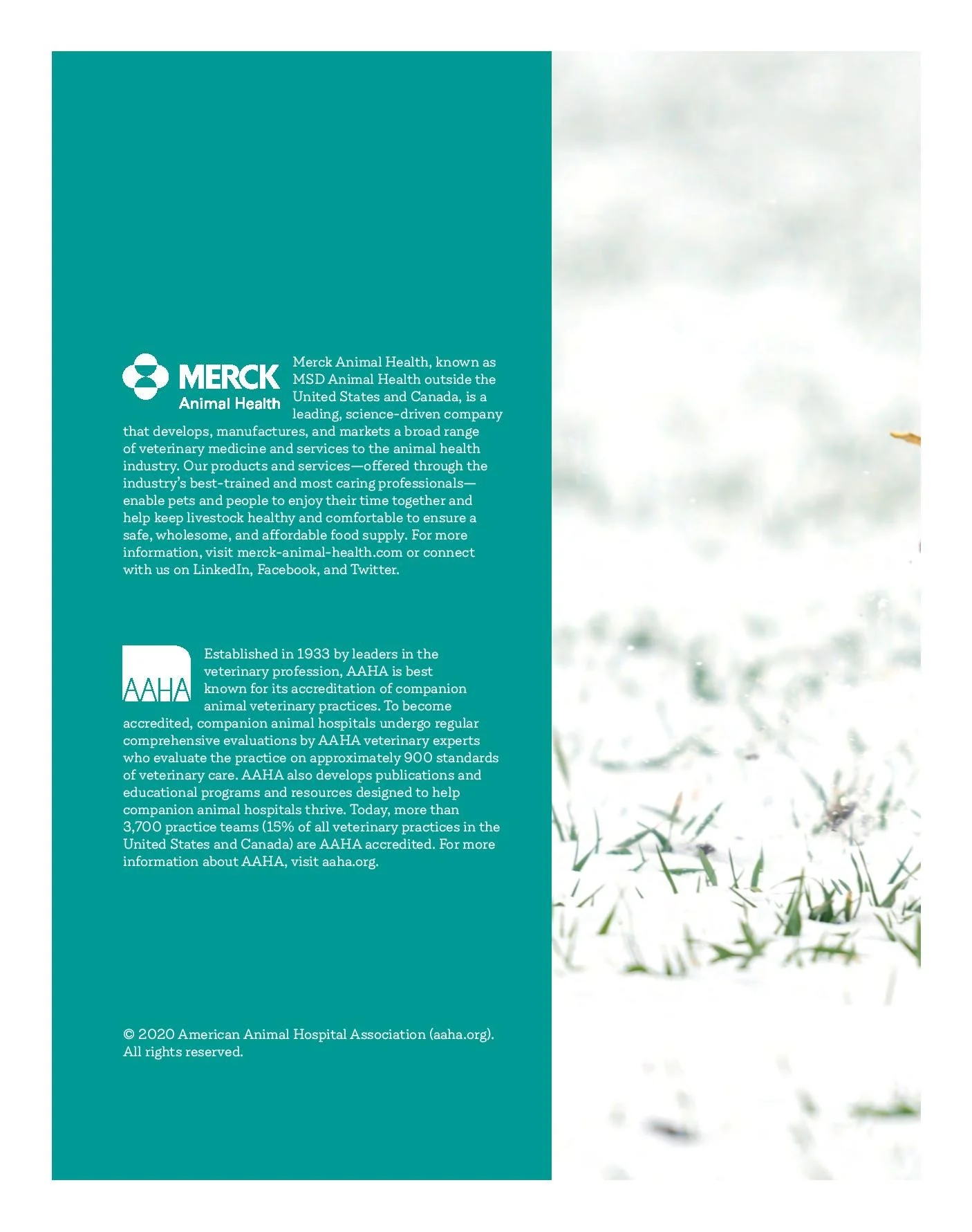 civ-booklet_web-page-024.jpg