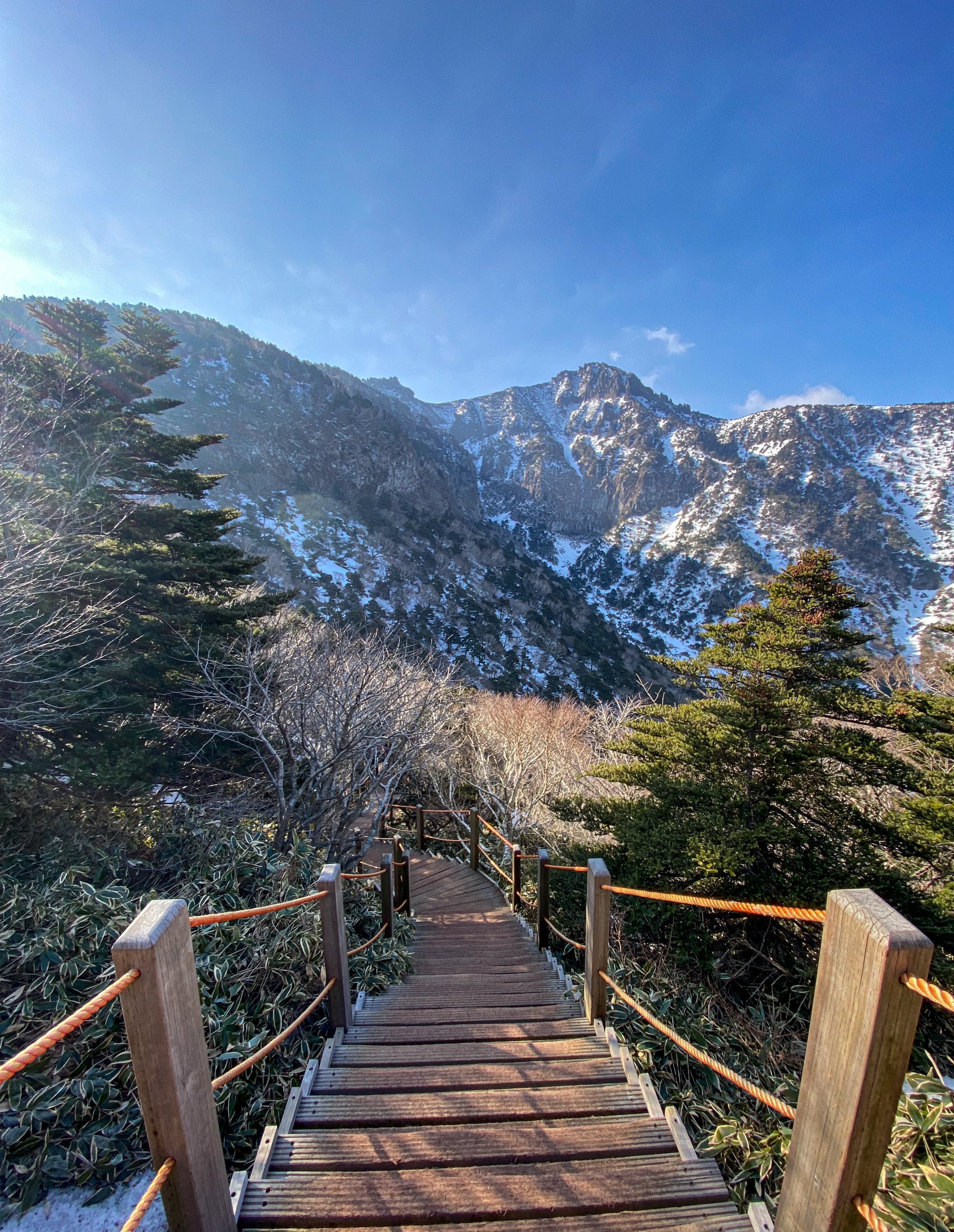 Your guide to hiking Hallasan Mountain on Jeju Island