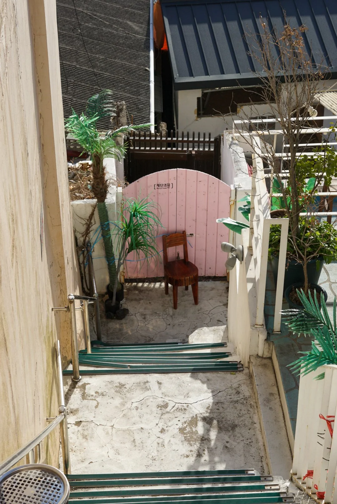 DSC05153.jpg