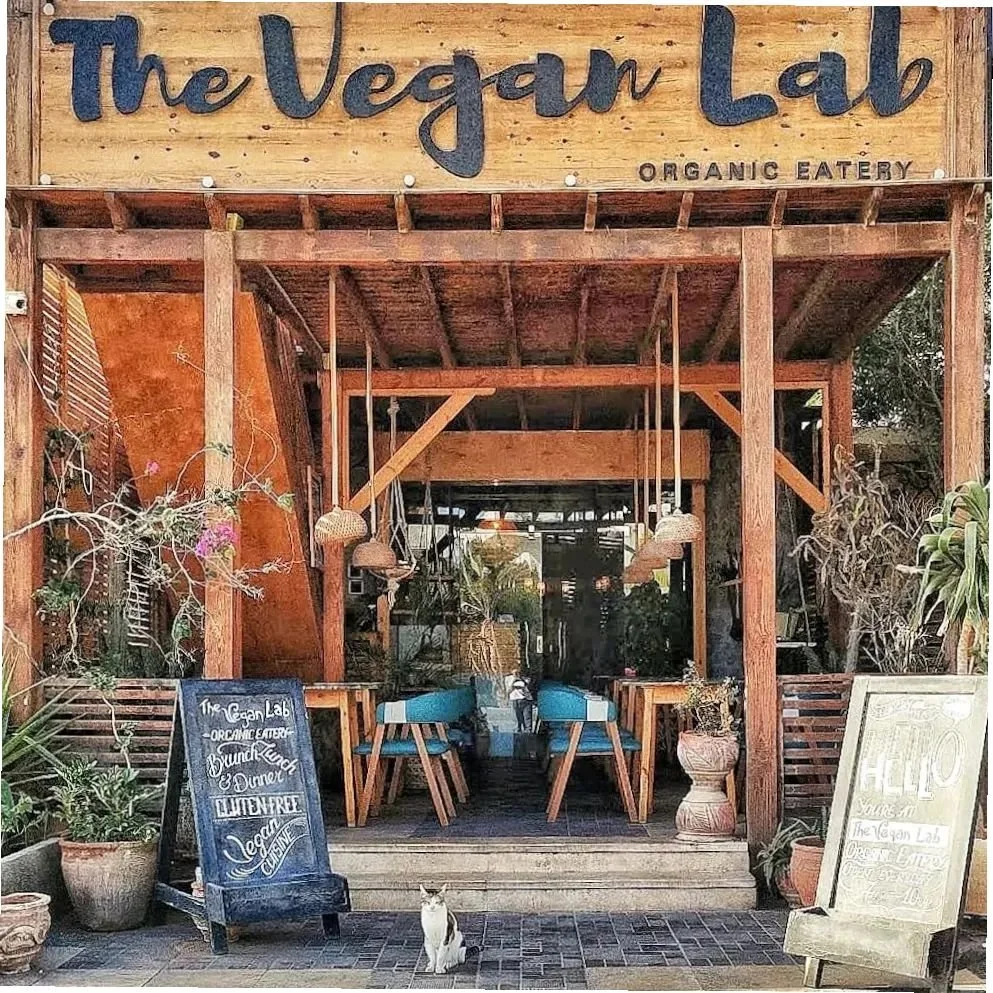 Royal Feasts: Discover 100% Vegan Restaurants Across Egypt — Middle