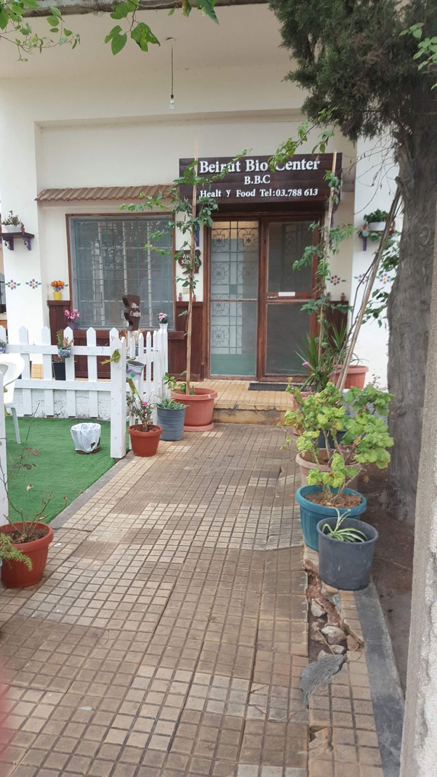 LEBANON'S TOP VEGAN RESTAURANTS 2023 — Middle East Vegan Society