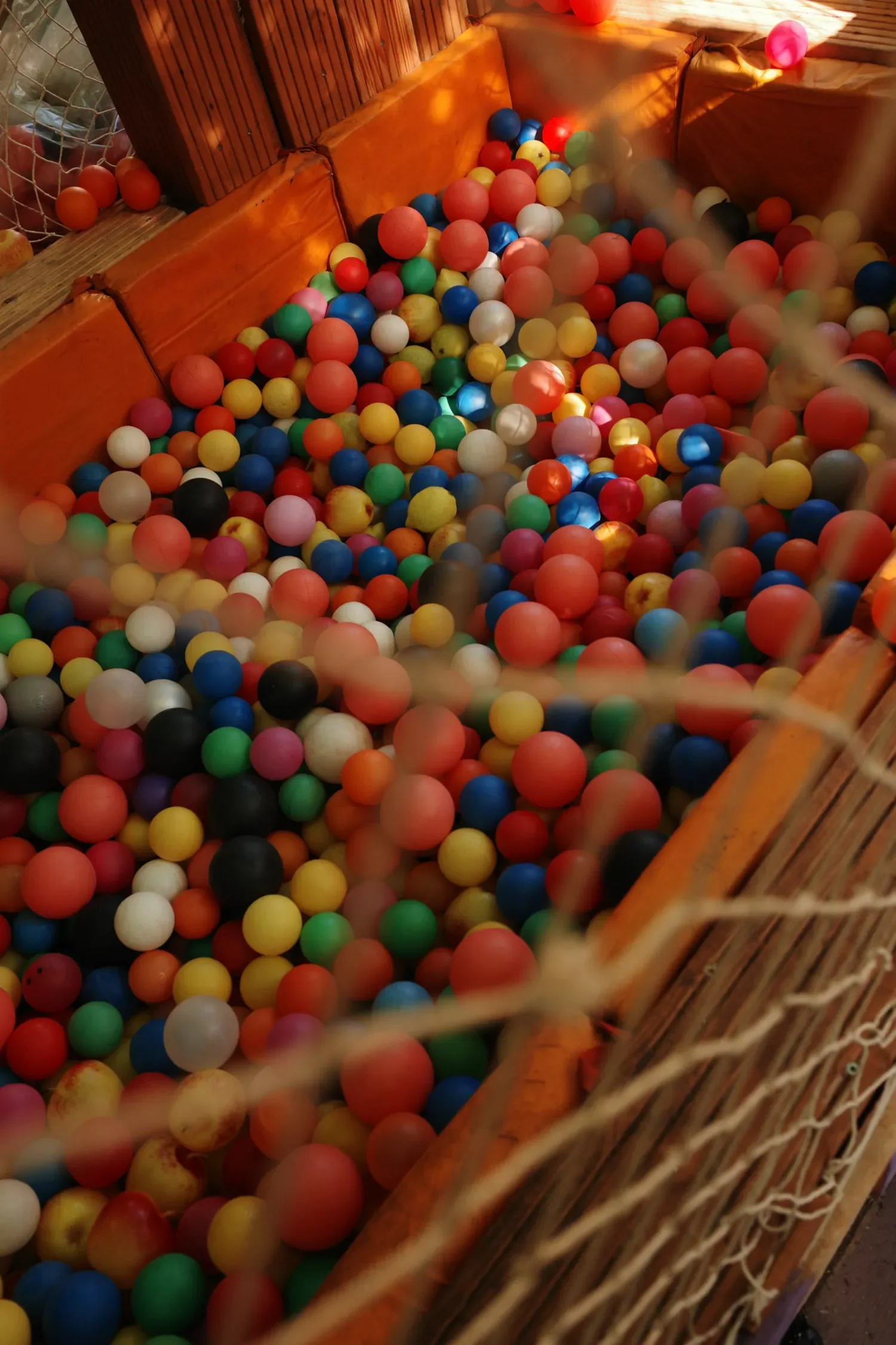 processed_28-R0001256.webp