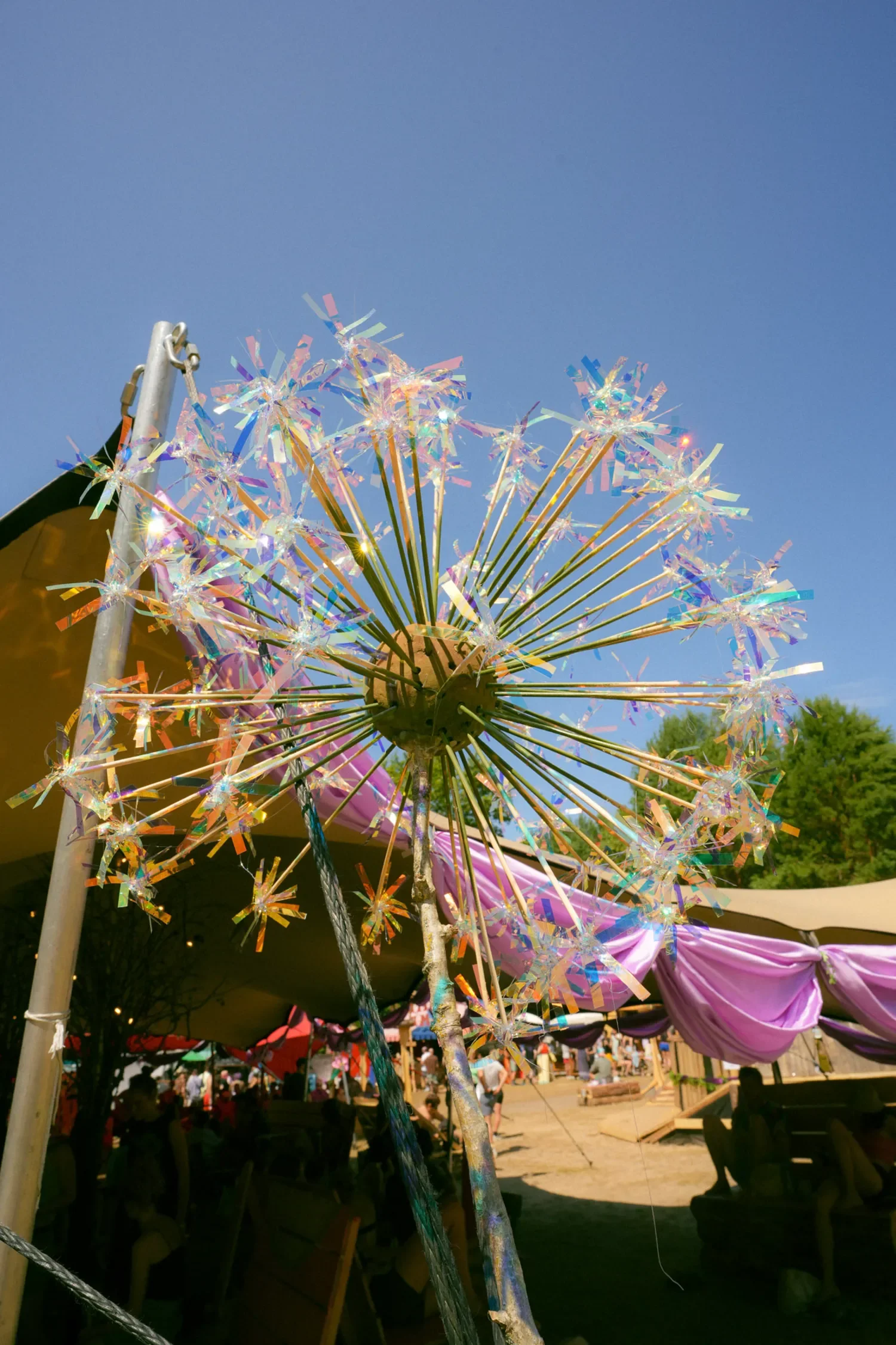 processed_52-260725_MitDir26_Oase_@ponybarker_SON02274.webp