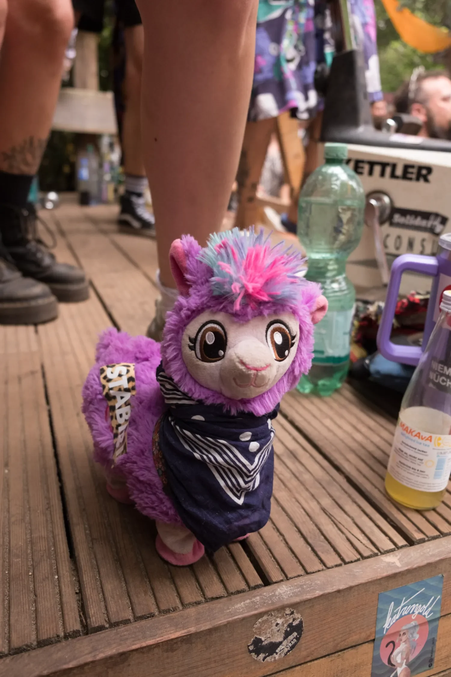 processed_84-260726_MitDir26_Deko_@ponybarker_DSCF2372.webp