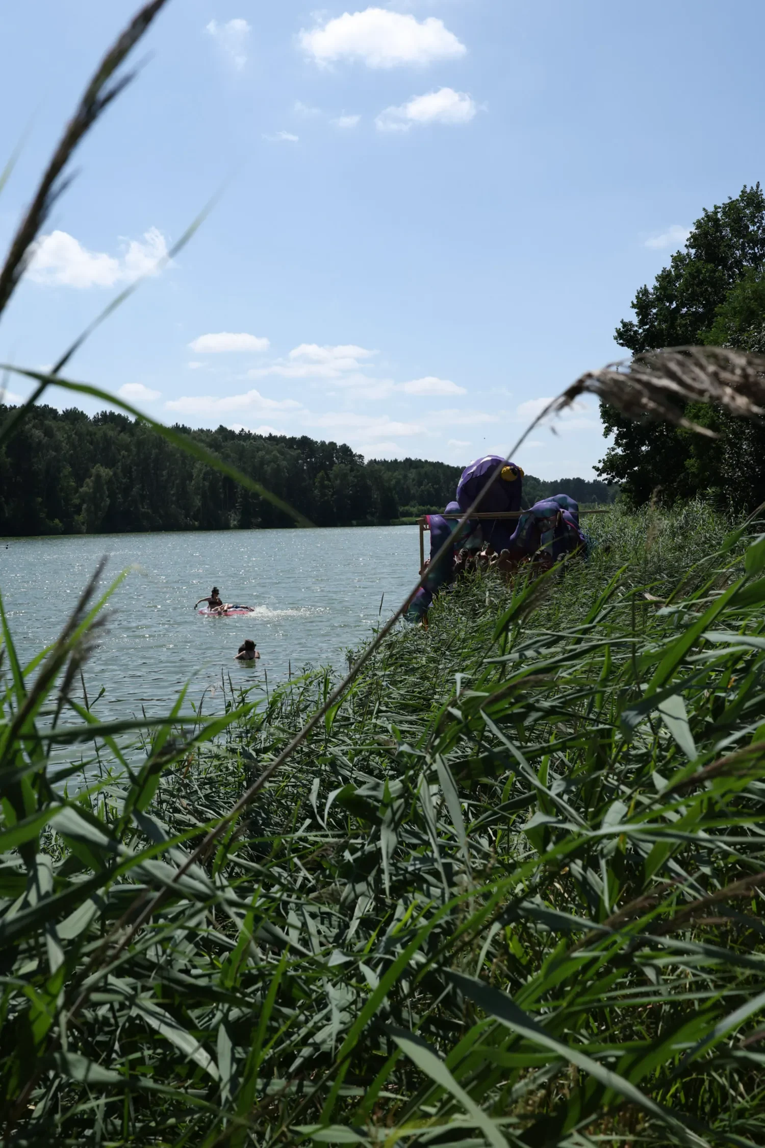 processed_17-4E6A2161.webp
