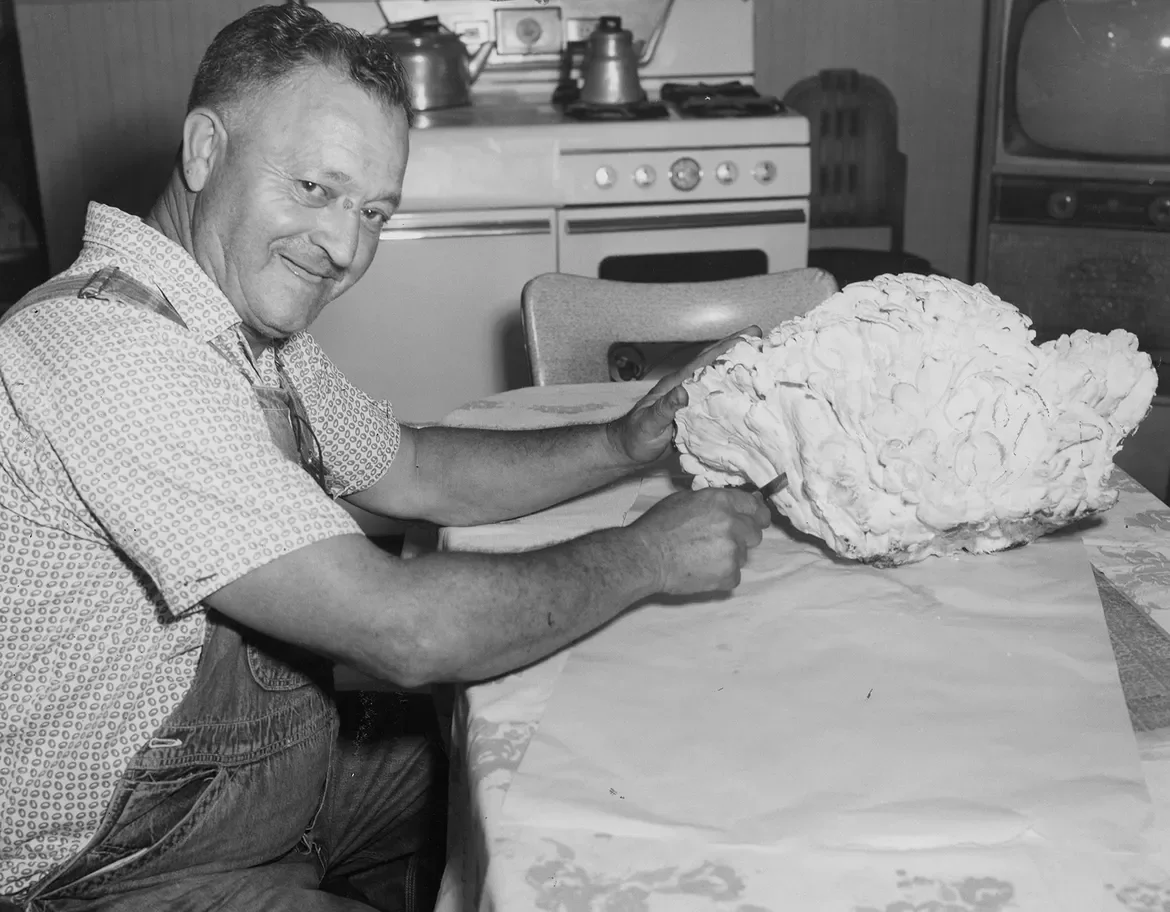 1963: After picking mushrooms for 20 years, Emilio De Frazio, of Johnston, found this 21-pound coral specimen growing on the trunk of an ash tree in woods off Foster and Center Road, Scituate. Now he's looking for a 100-pound steak.
The Providence Jo