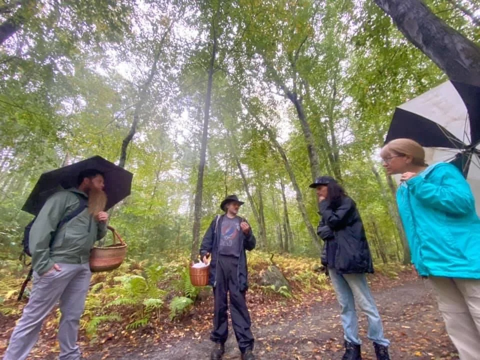 Four people standing in a forest on a rainy day, holding umbrellas and baskets, engaged in conversation.