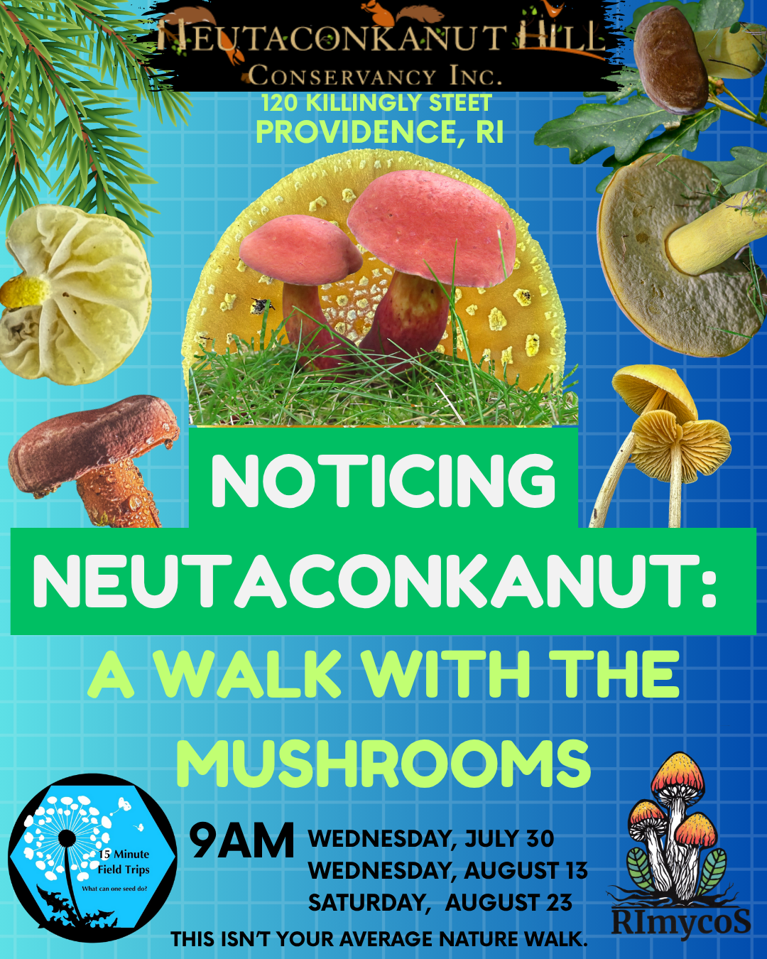 Noticing Neutaconkanut Hill