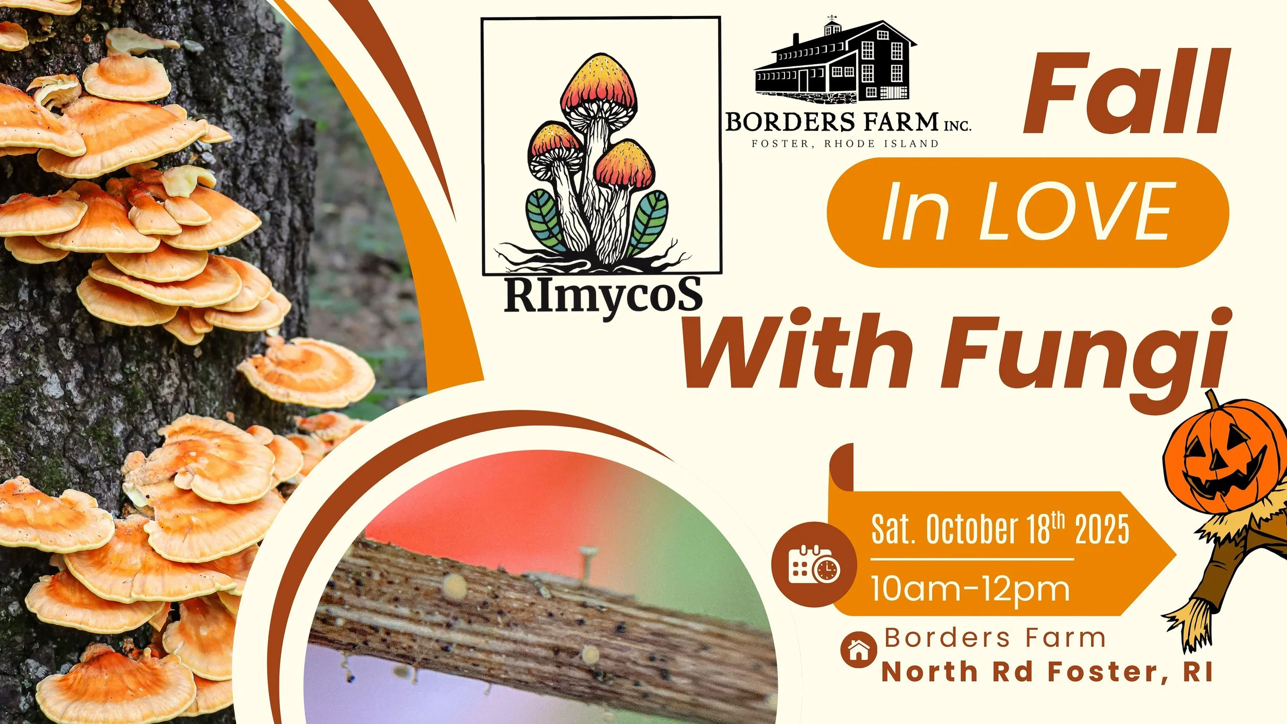 Fall in Love with Fungi