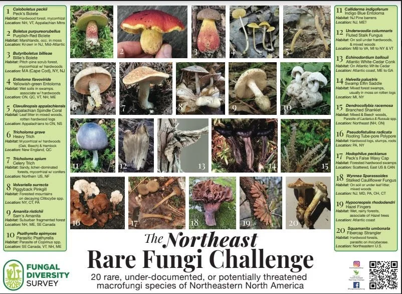 How to Recognize and Conserve Rare Fungi in Your State/Province A Webinar by Dr. Rick Van de Poll